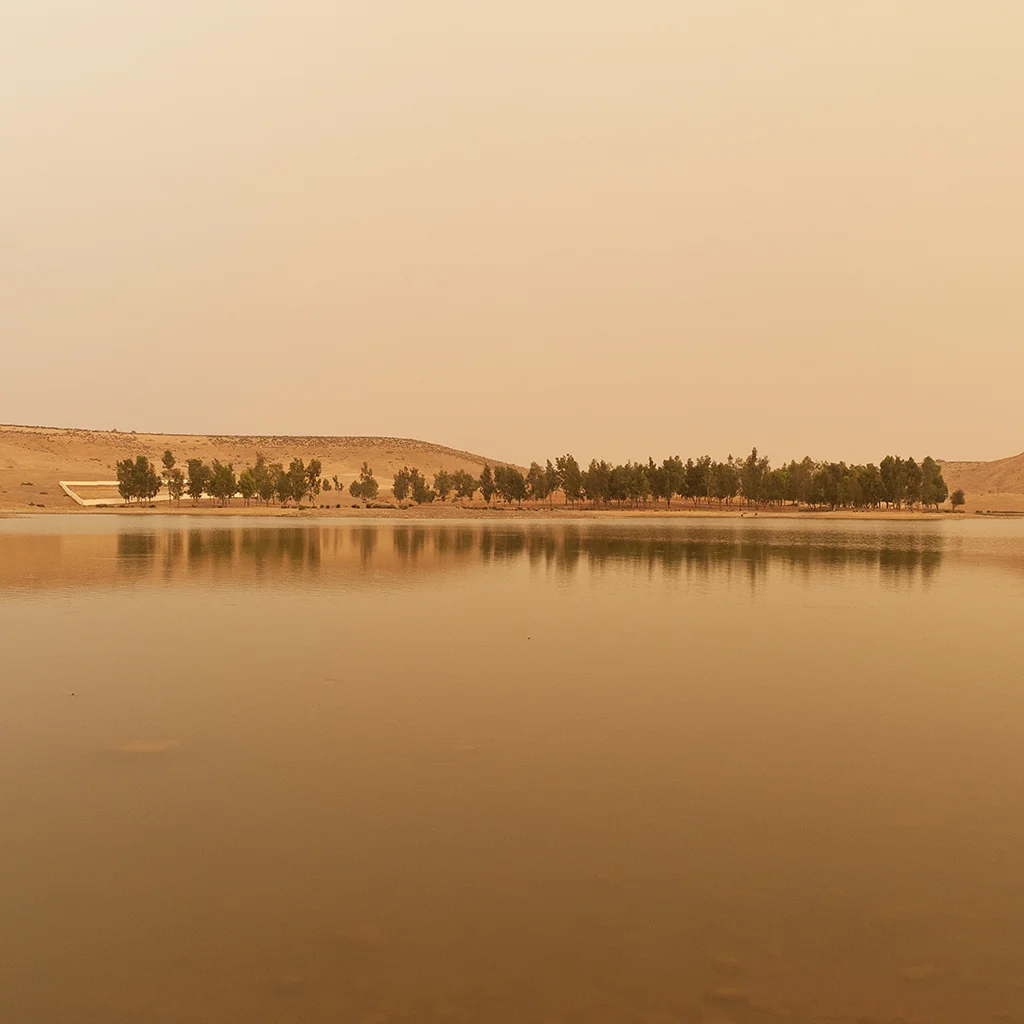 fotografia di Francesco Niccolai