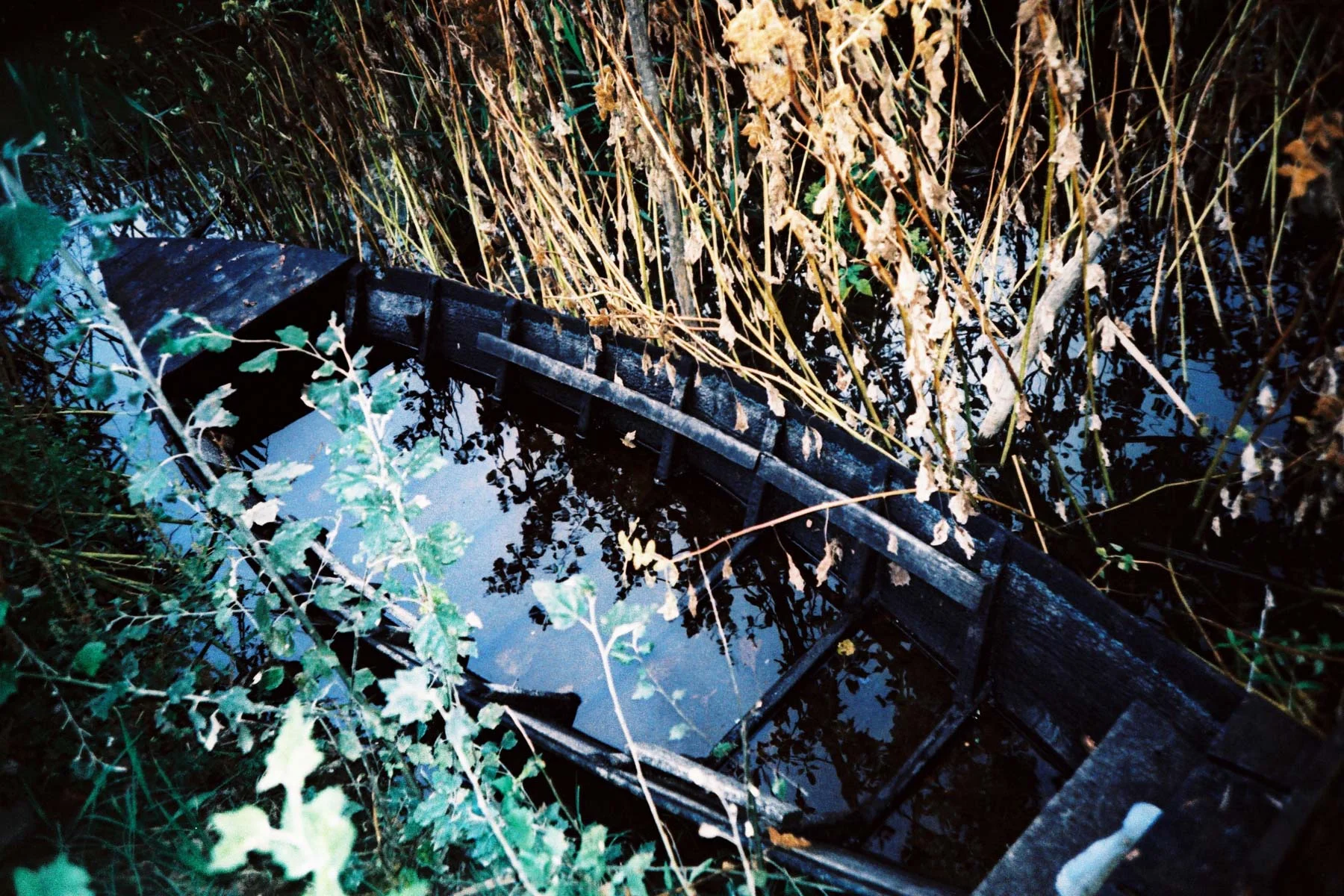 fotografia di Bärbel Reinhard