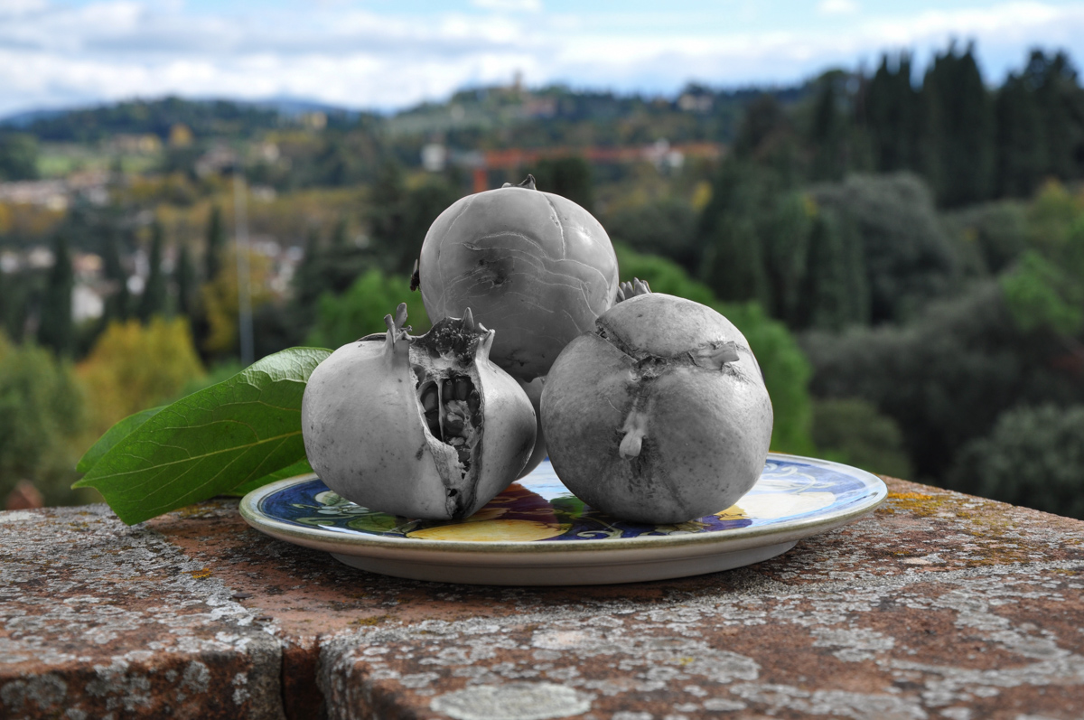 Fotografia di Carlo Zei