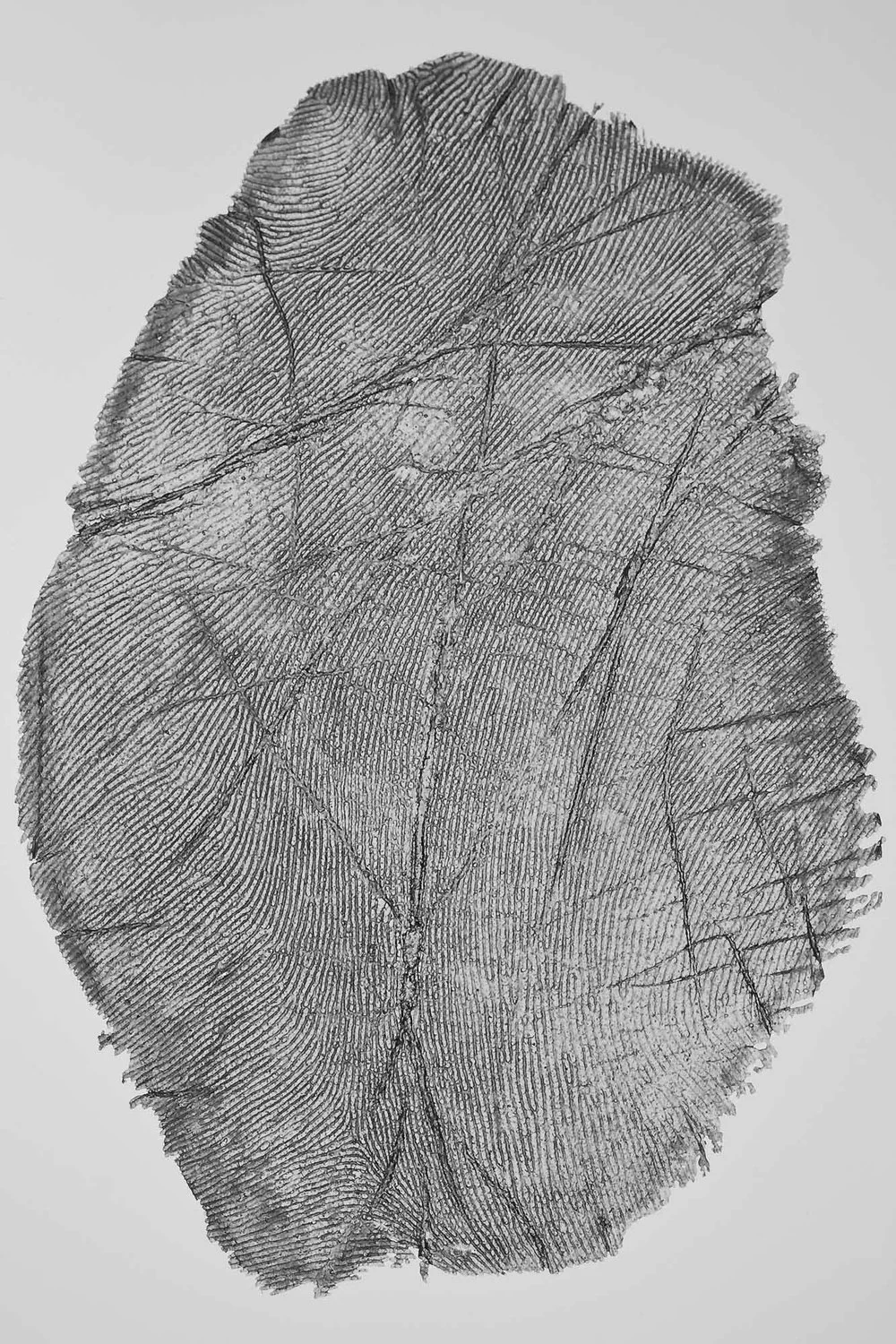 La poetica dell'impronta