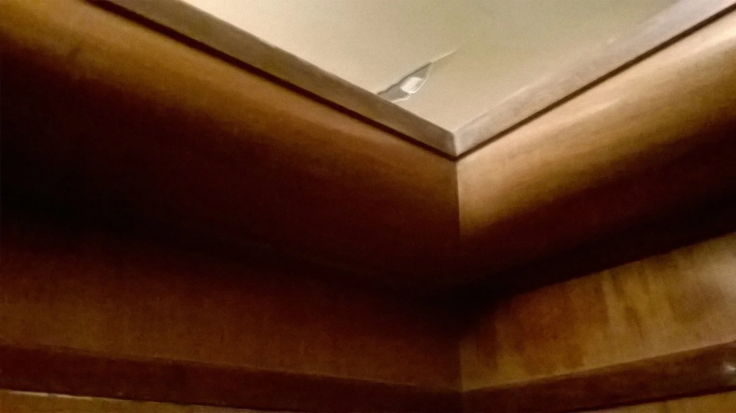 Old Mold, New Mold/Muffe, vecchie e  nuove