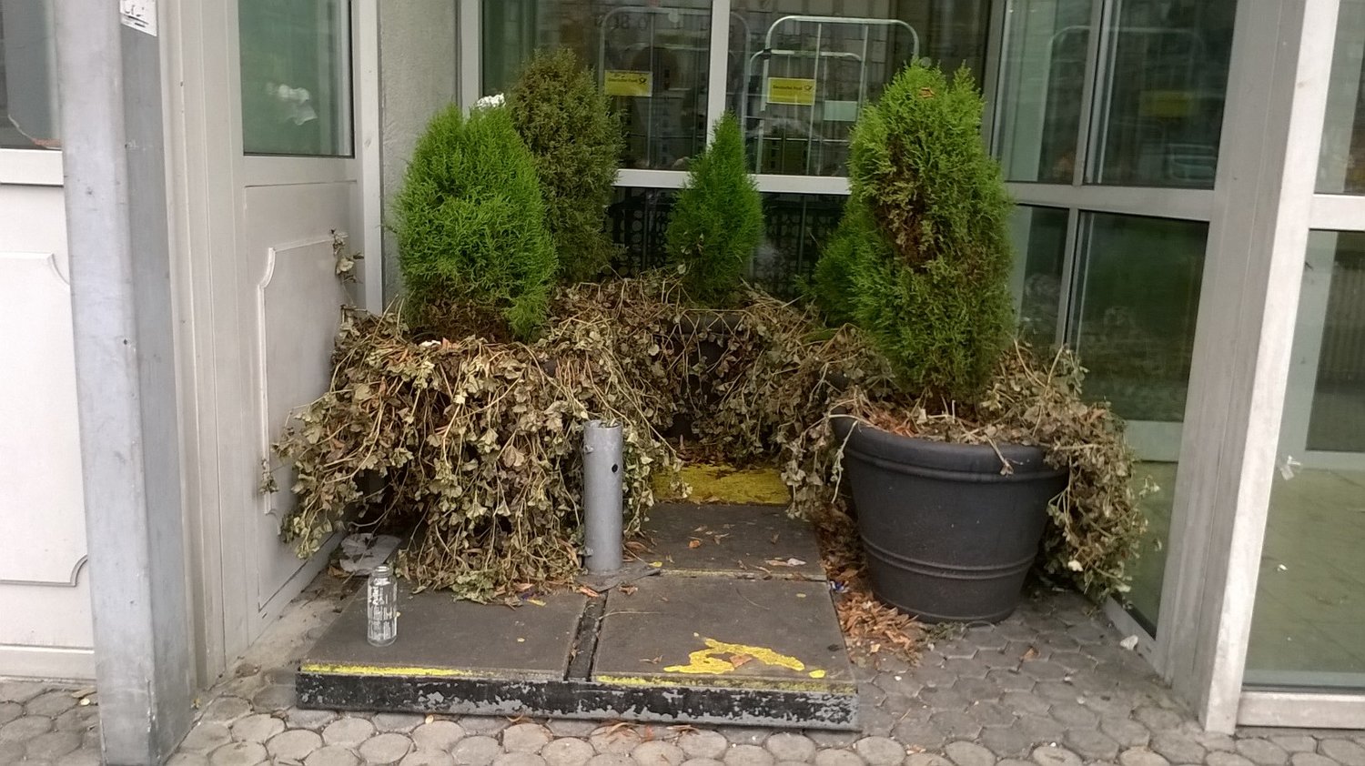 Vita nottidiana al Kranepool