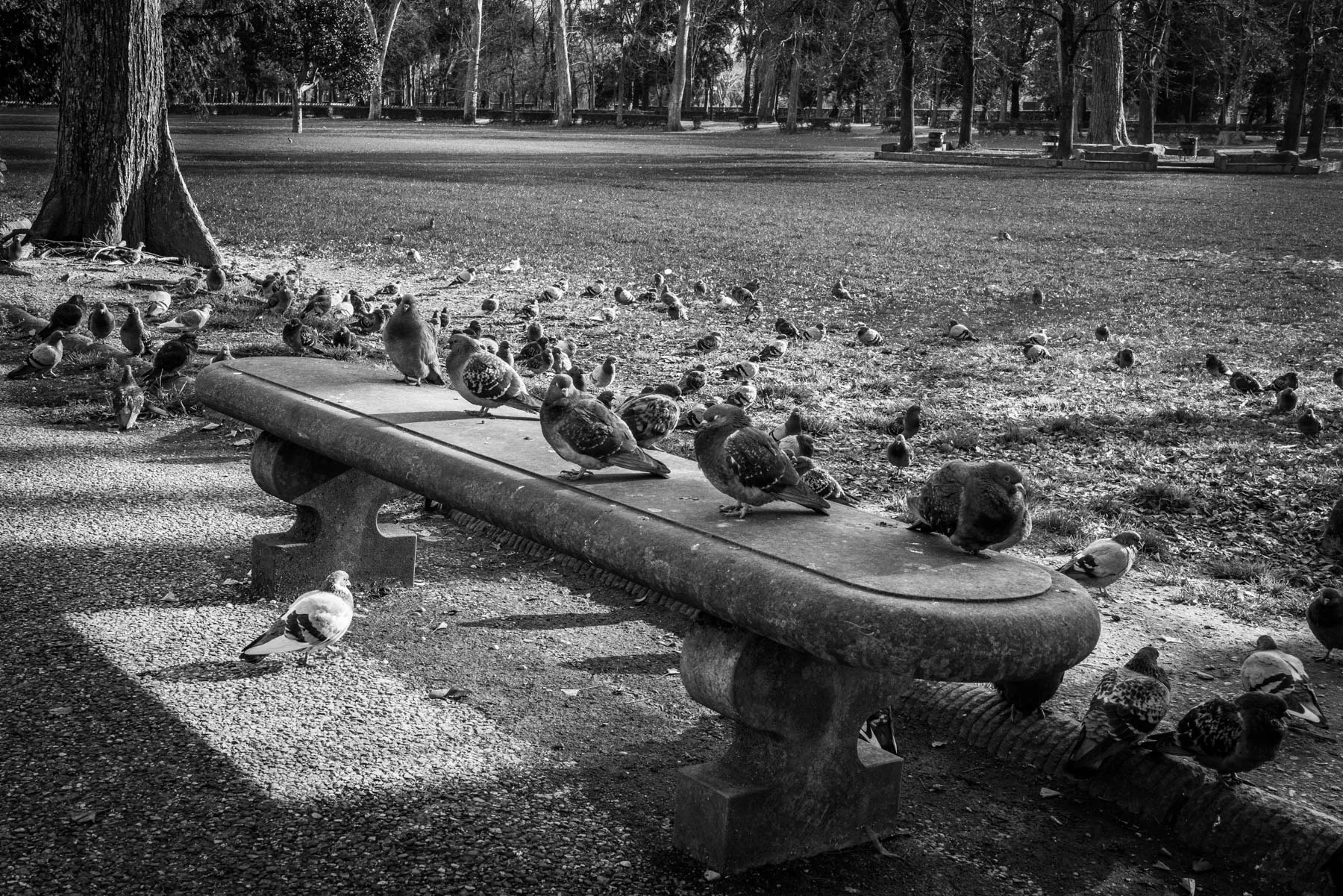 fotografia di Carlo Zei