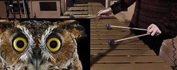 vibraphone.jpeg