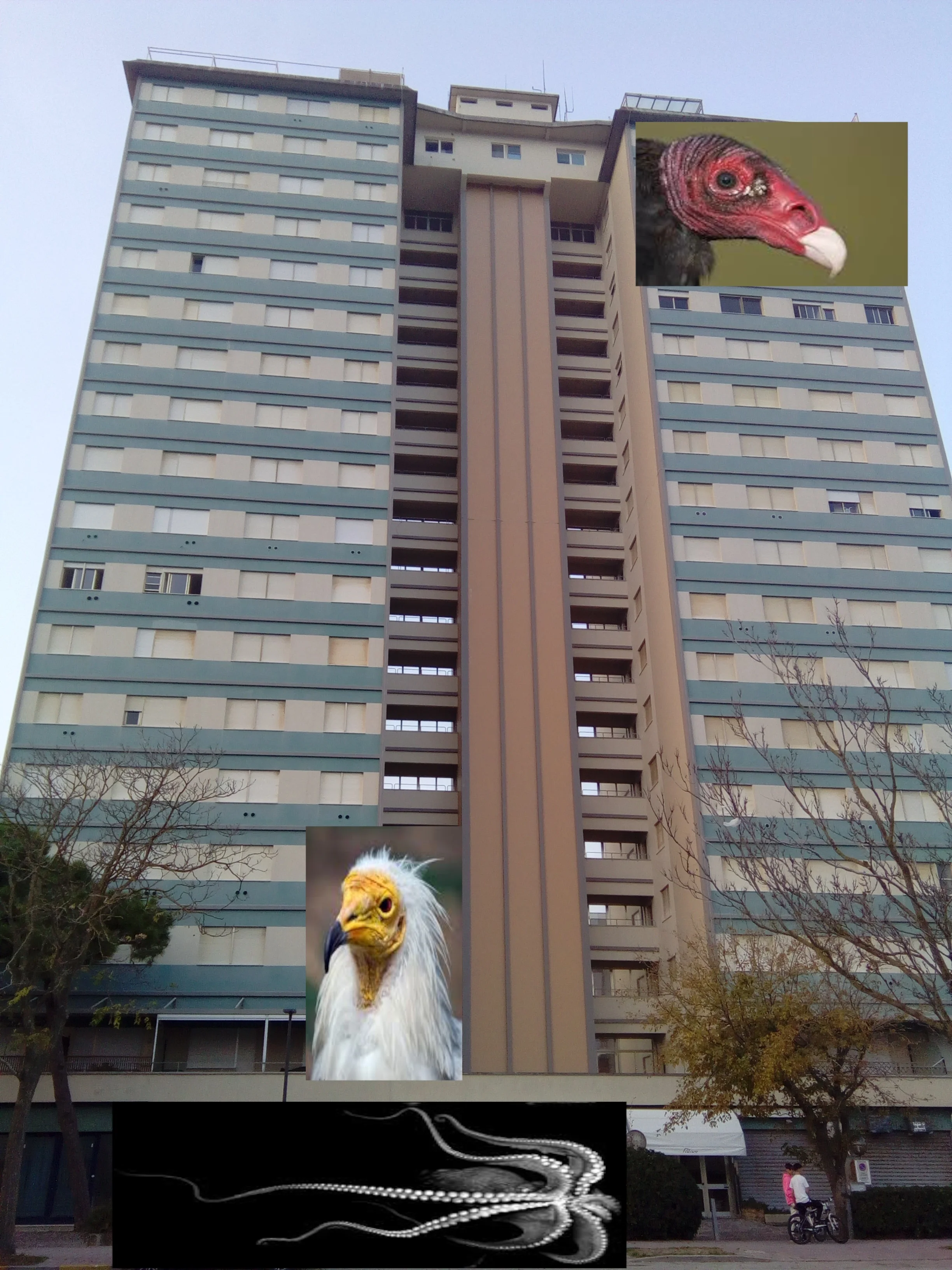 vulture grand hotel.jpg