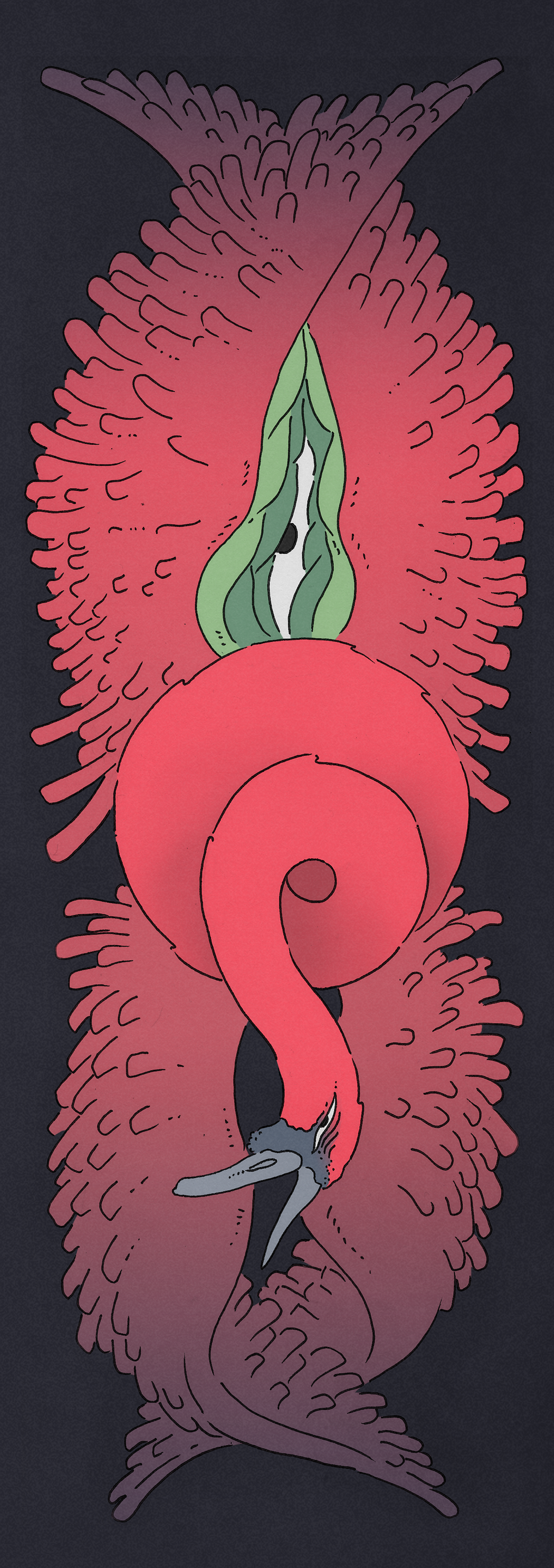 Bestiarius immaterialis - Il cigno rosso