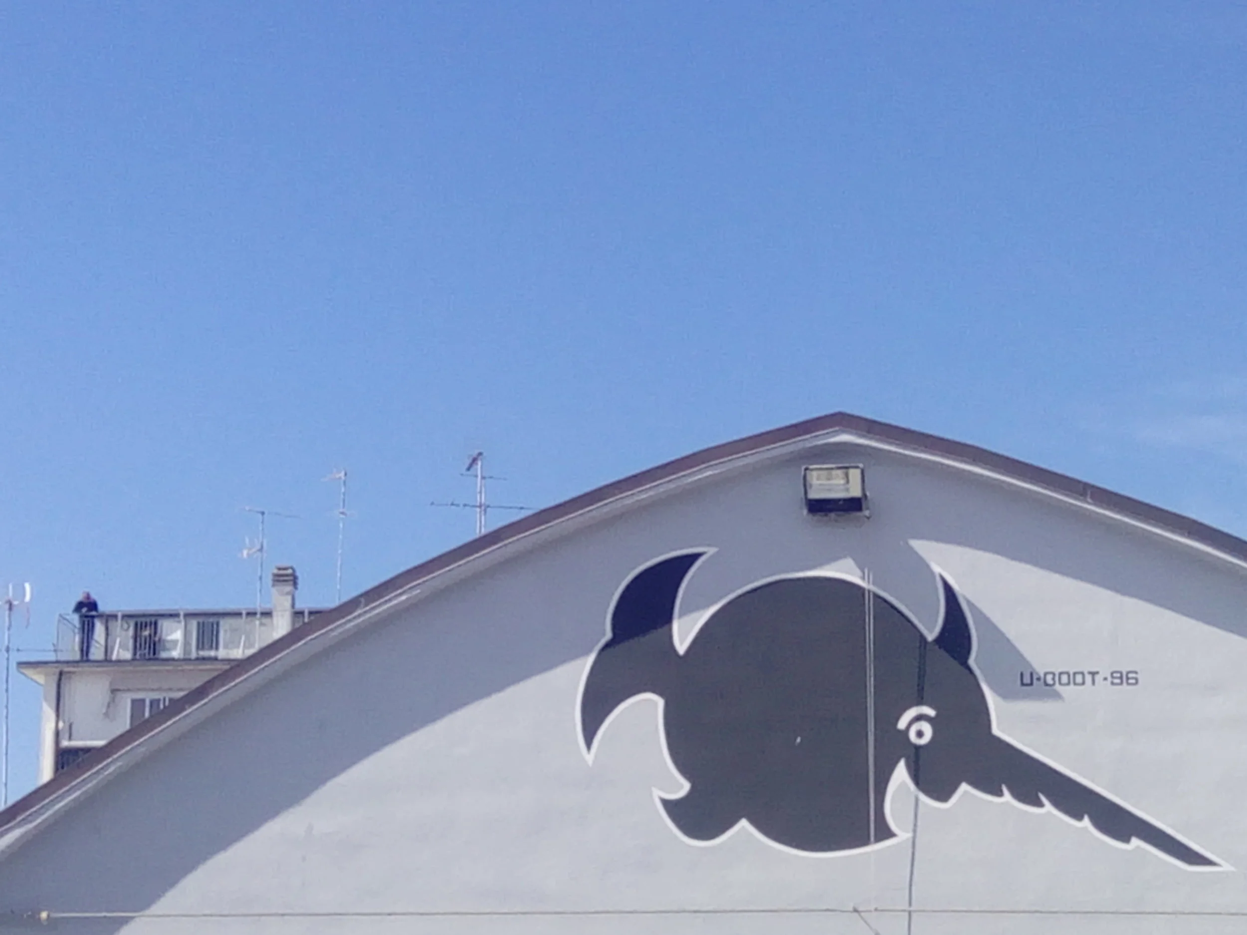 Sammy Sawfish, our friendly corporate logo mascot!