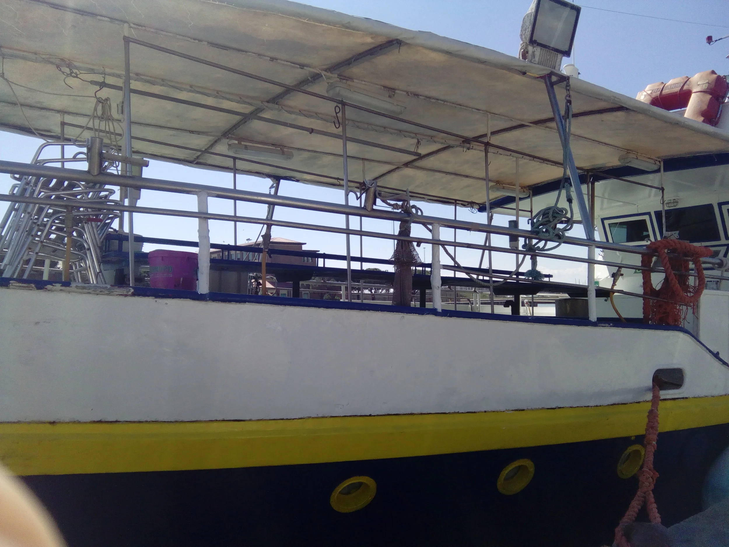 E la nave va! Ma dove….