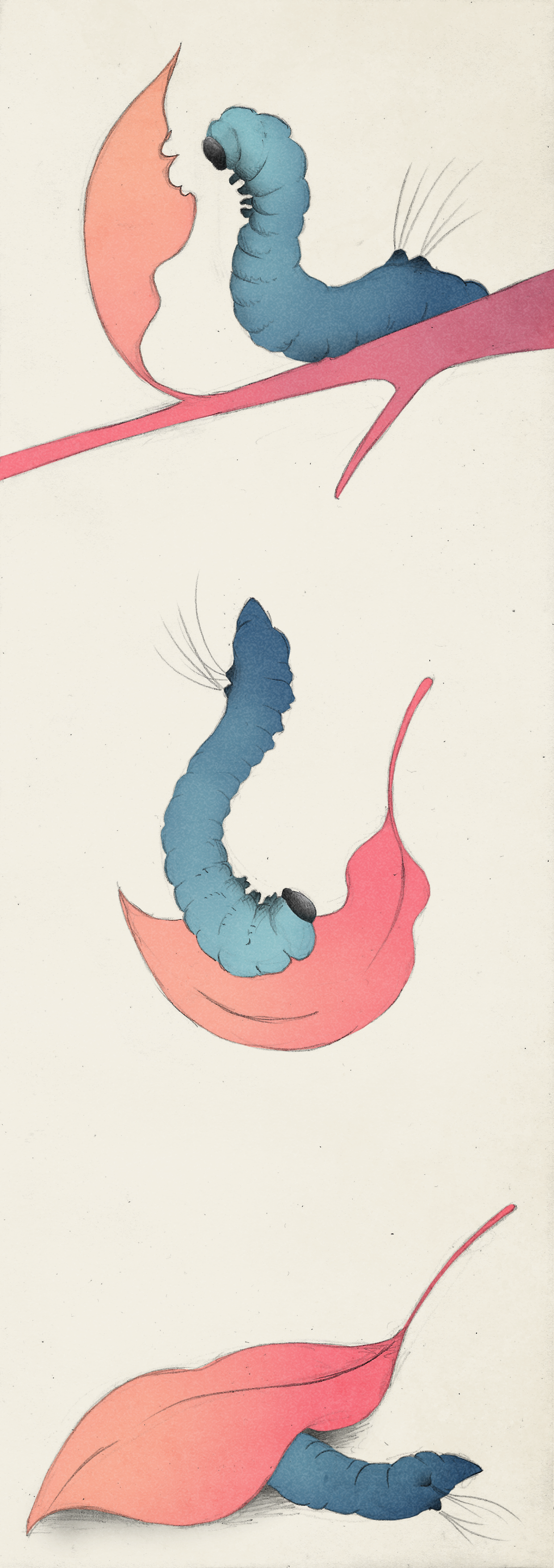 Bestiarius immaterialis - La foglia d'oro