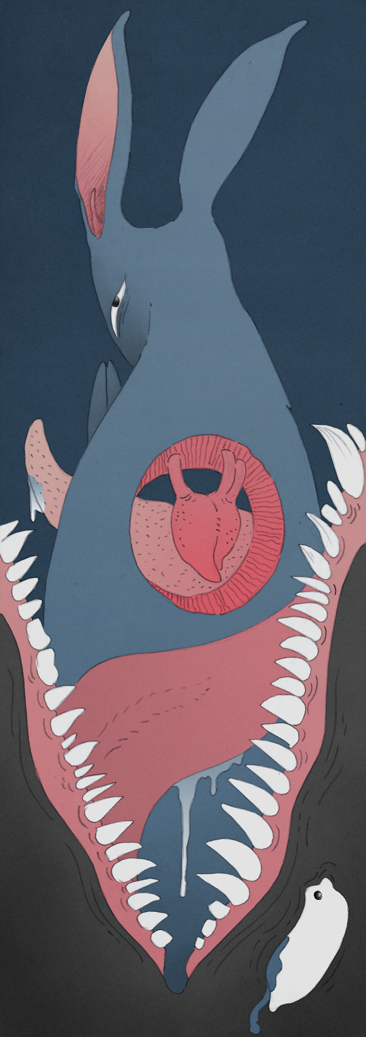 Bestiarius immaterialis - La lepre sincera