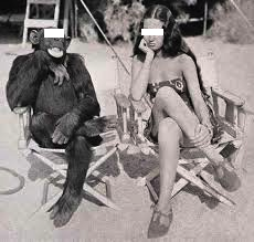 Relax with a native in his (or her) native environment!