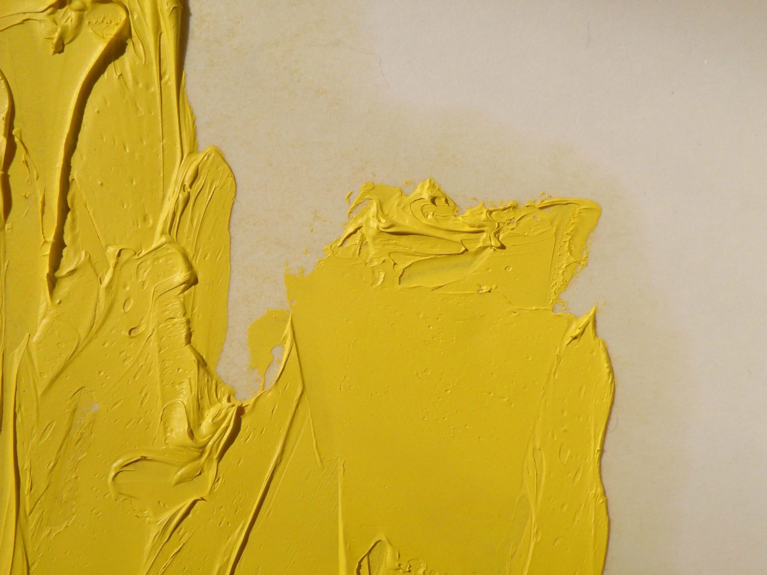 Immagine di Stefano Loria