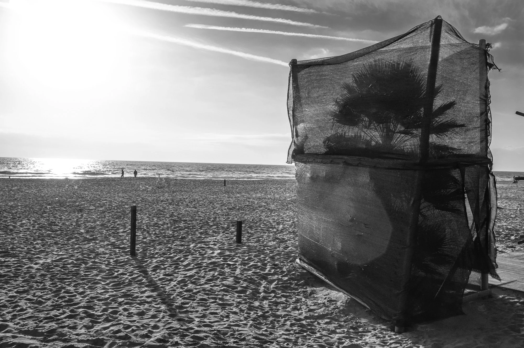 Fotografia di Carlo Zei