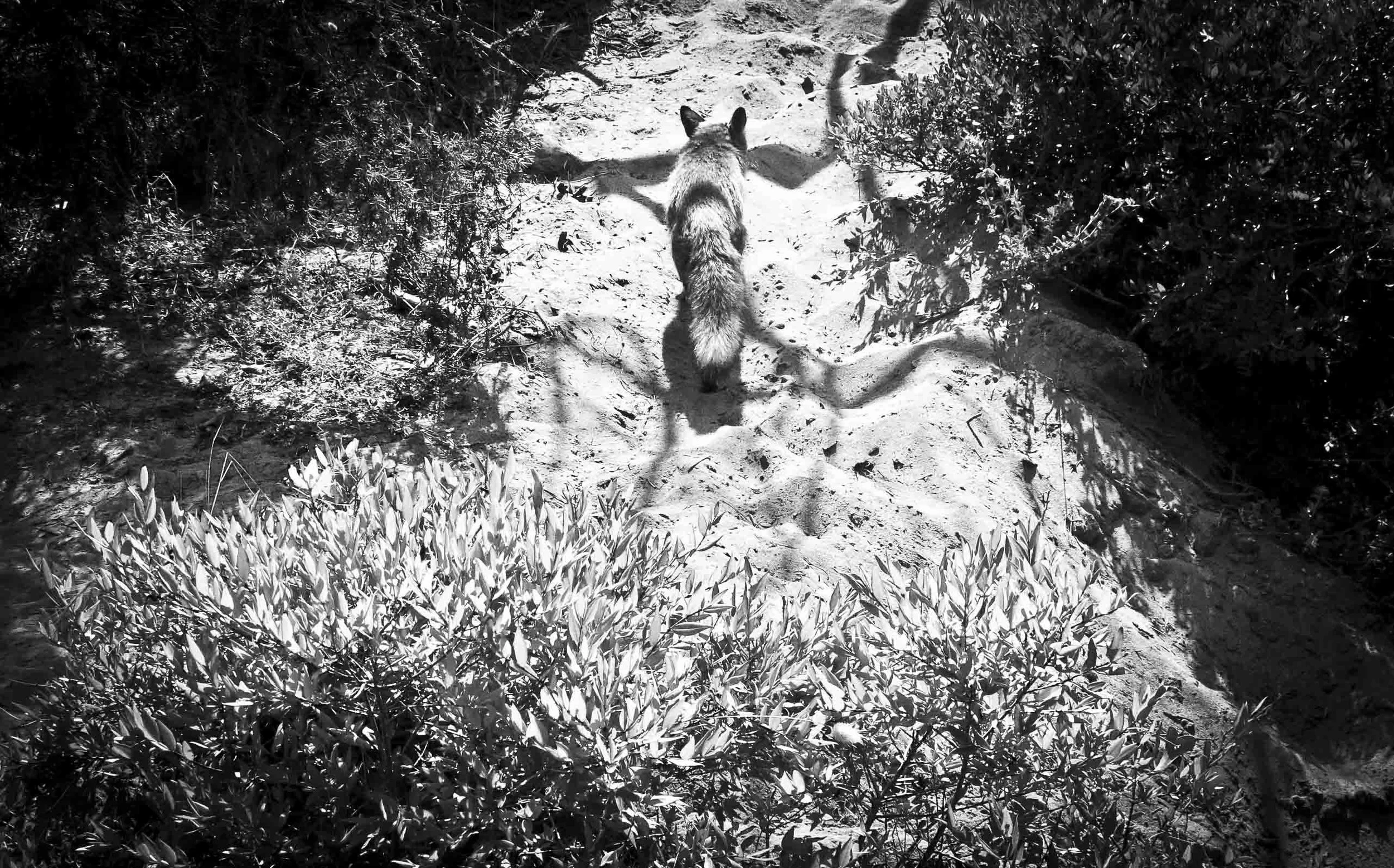 Fotografia di Bärbel Reinhard