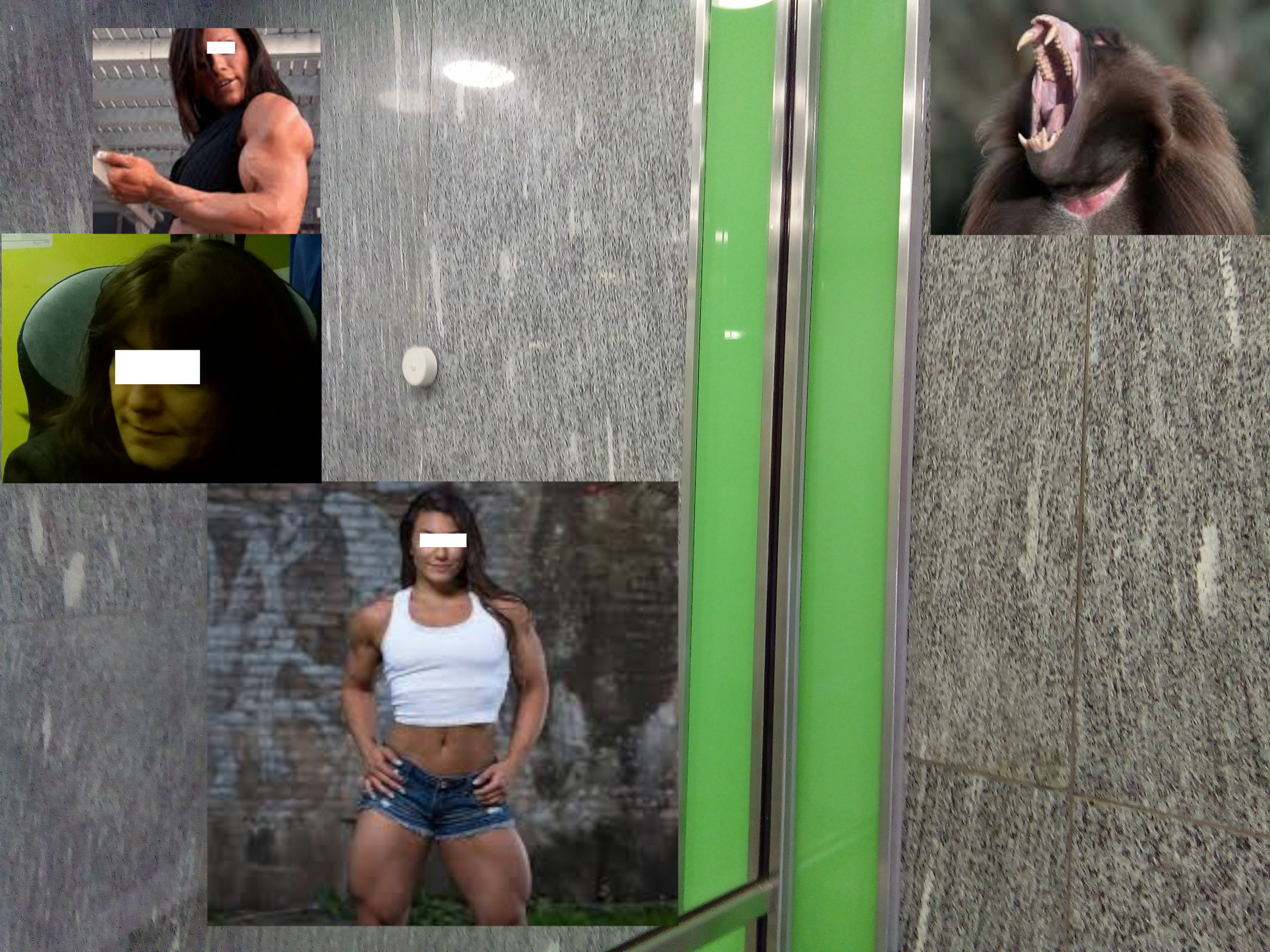 green lobby muscle ape.png