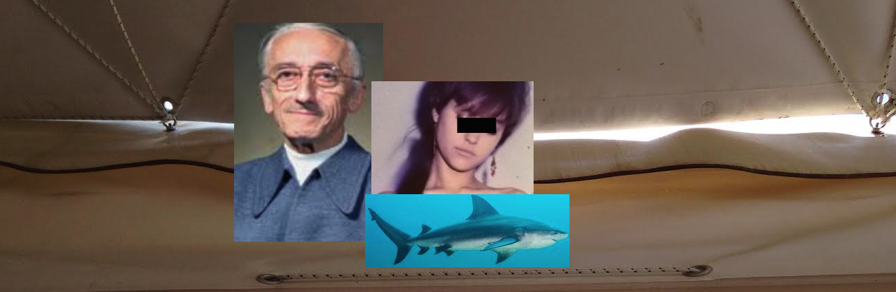 cousteau detail 2.png