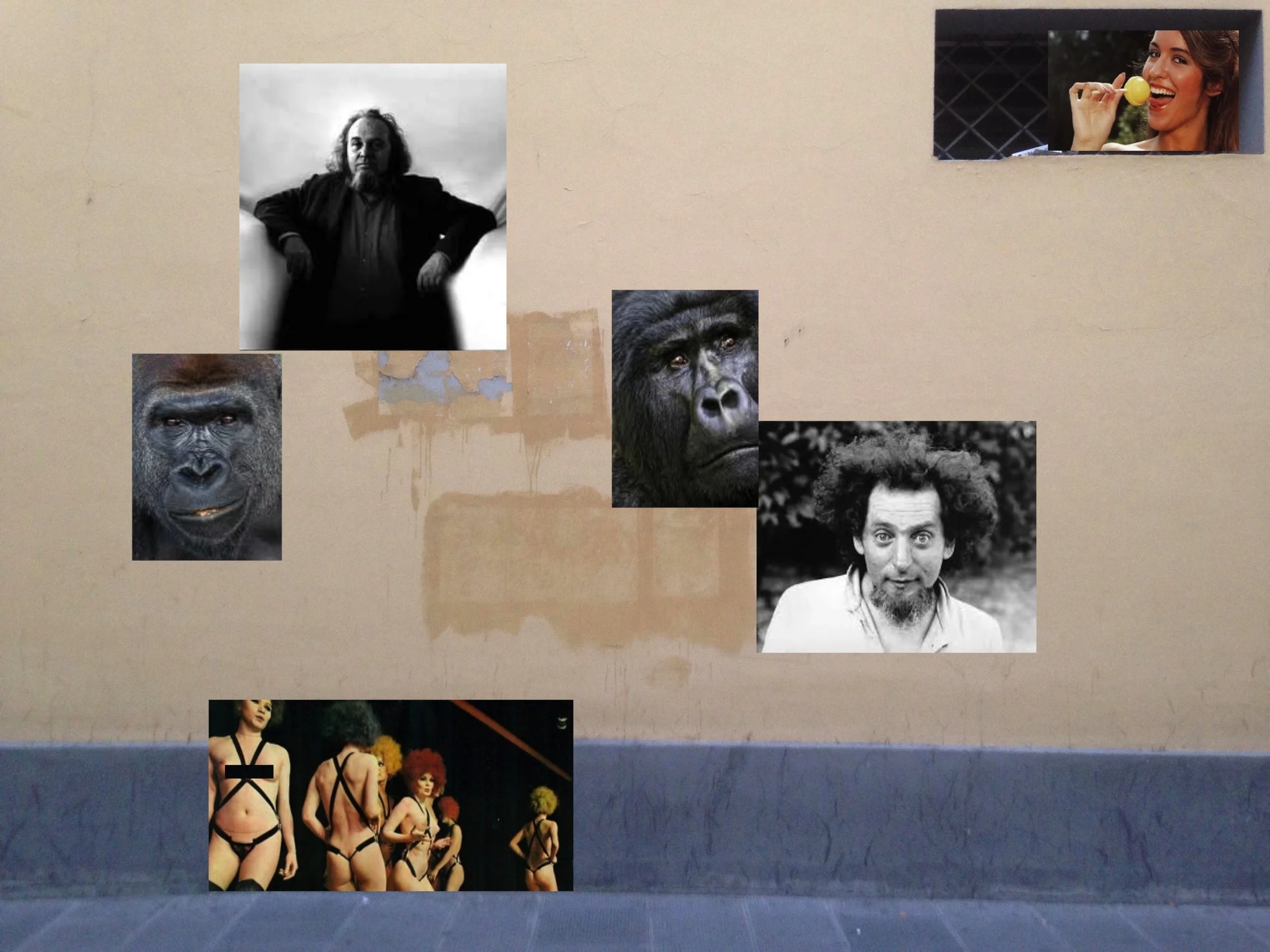 yellow wall p&f.jpg