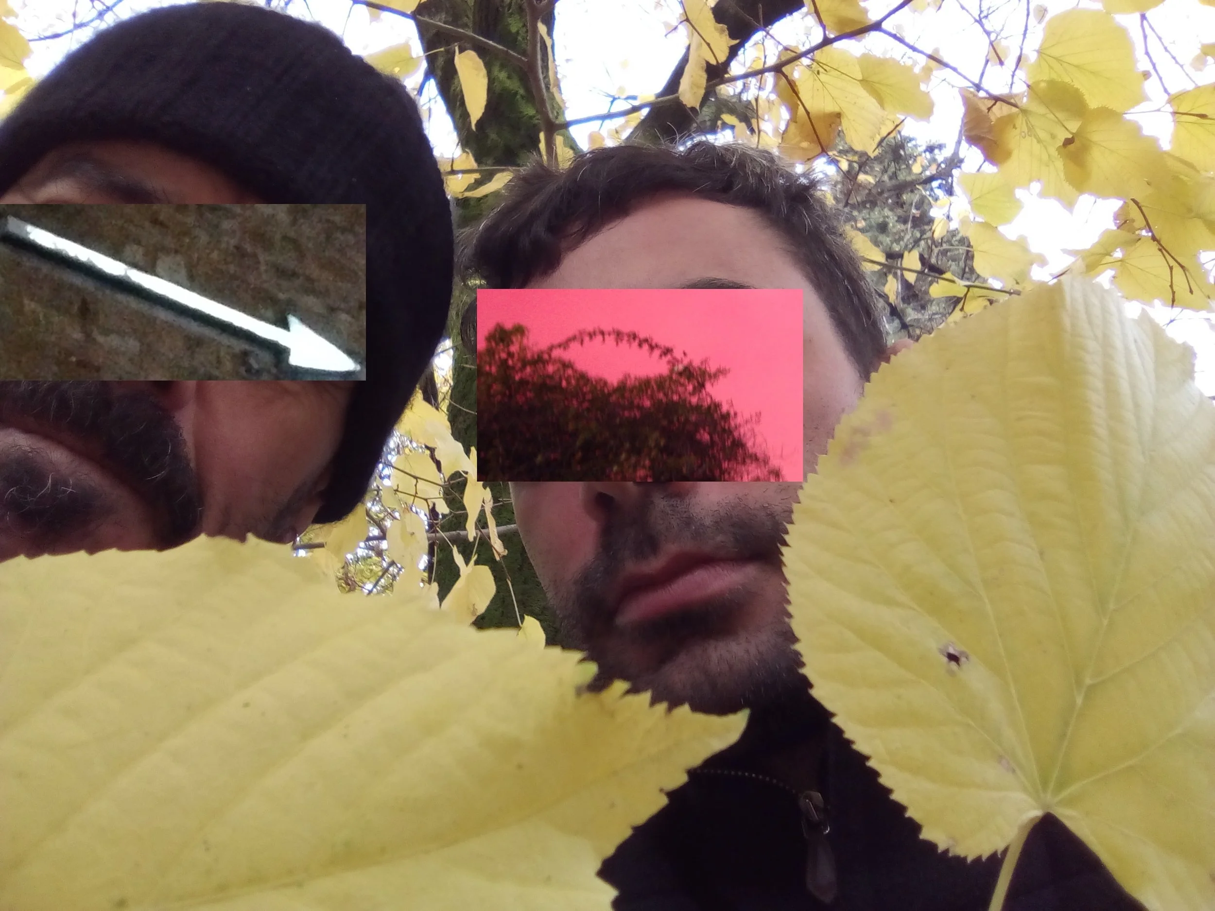 A(nother) Quiet Night at the Kranepool