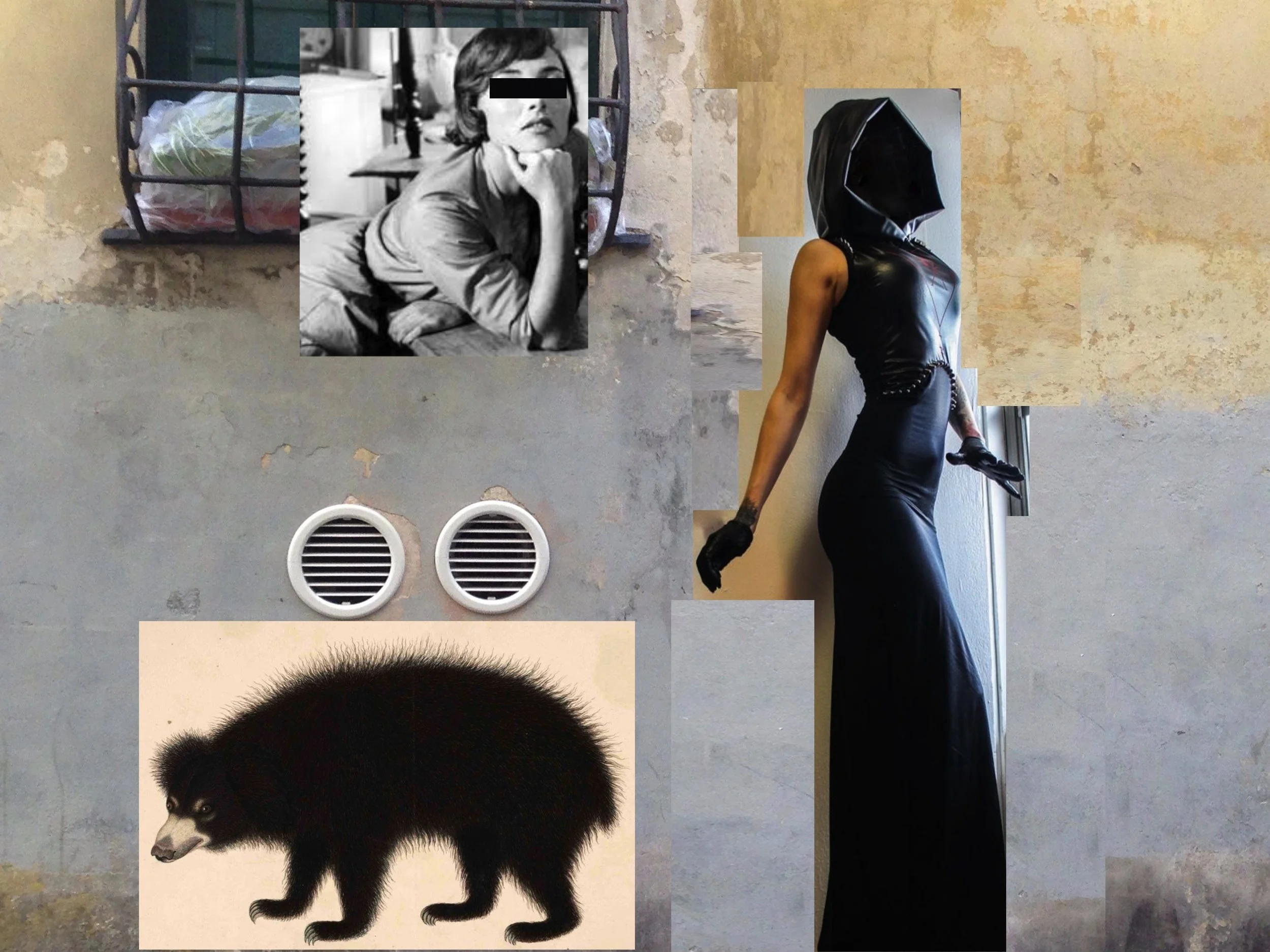 bear&hood stef.jpg