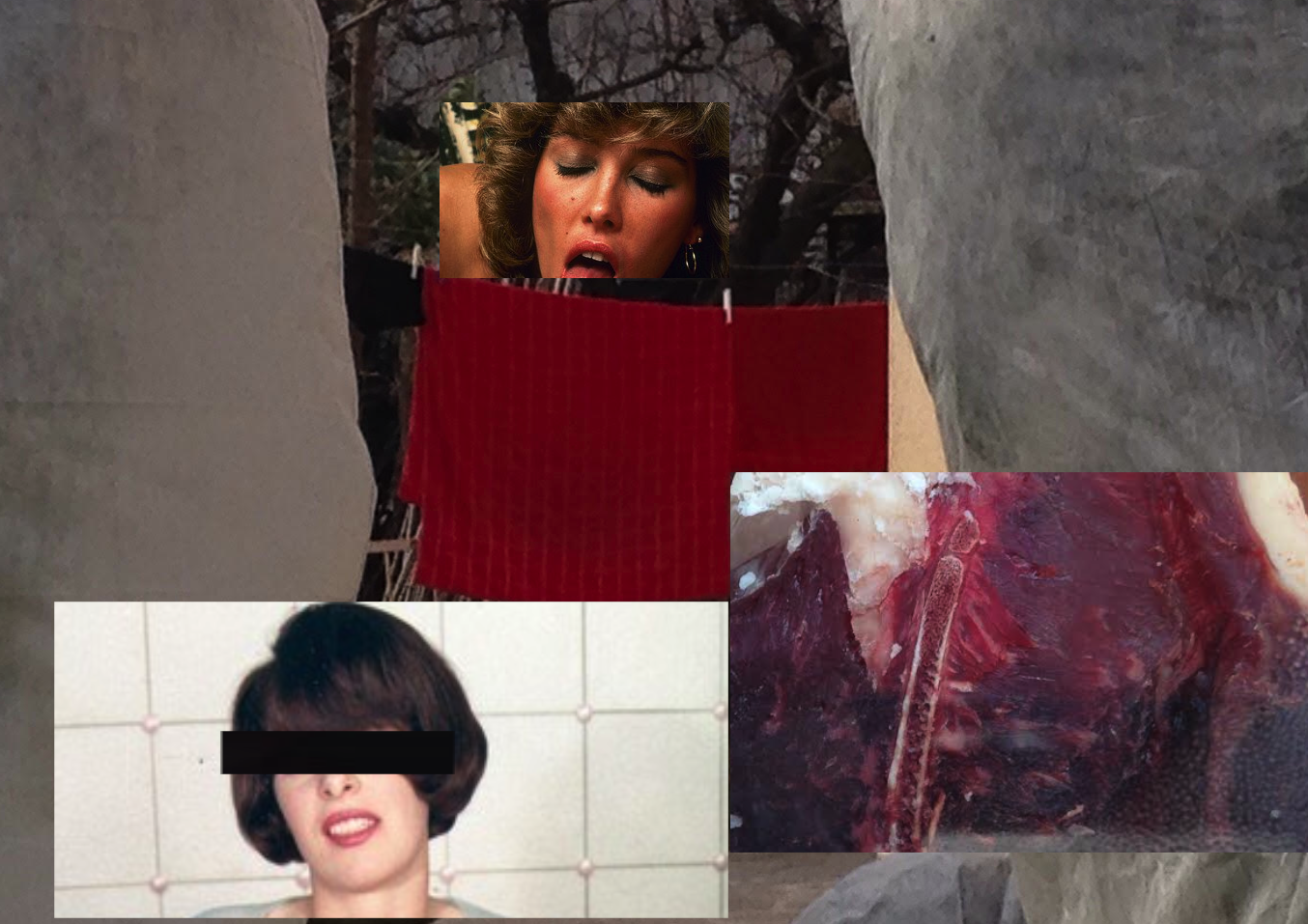 (Mystery) Guest Artists in Residence: Tales of Shadows and Chambers