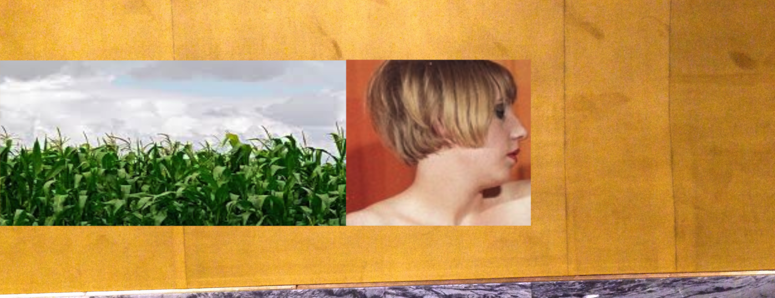 hk lonesome corn 2.png