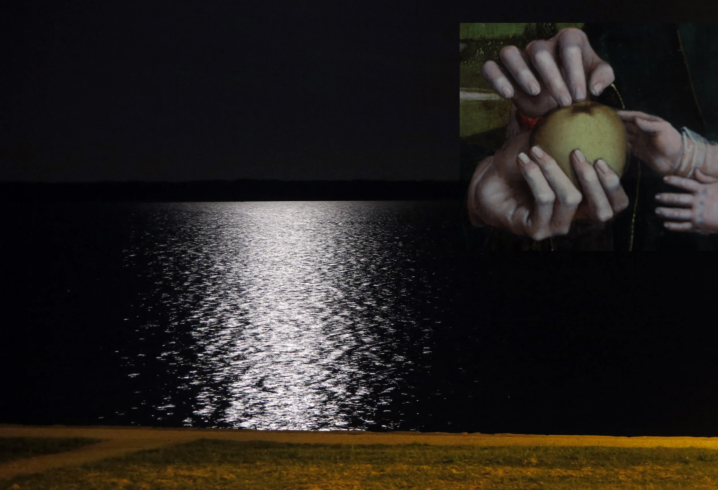 A Nest on the Waves 01
