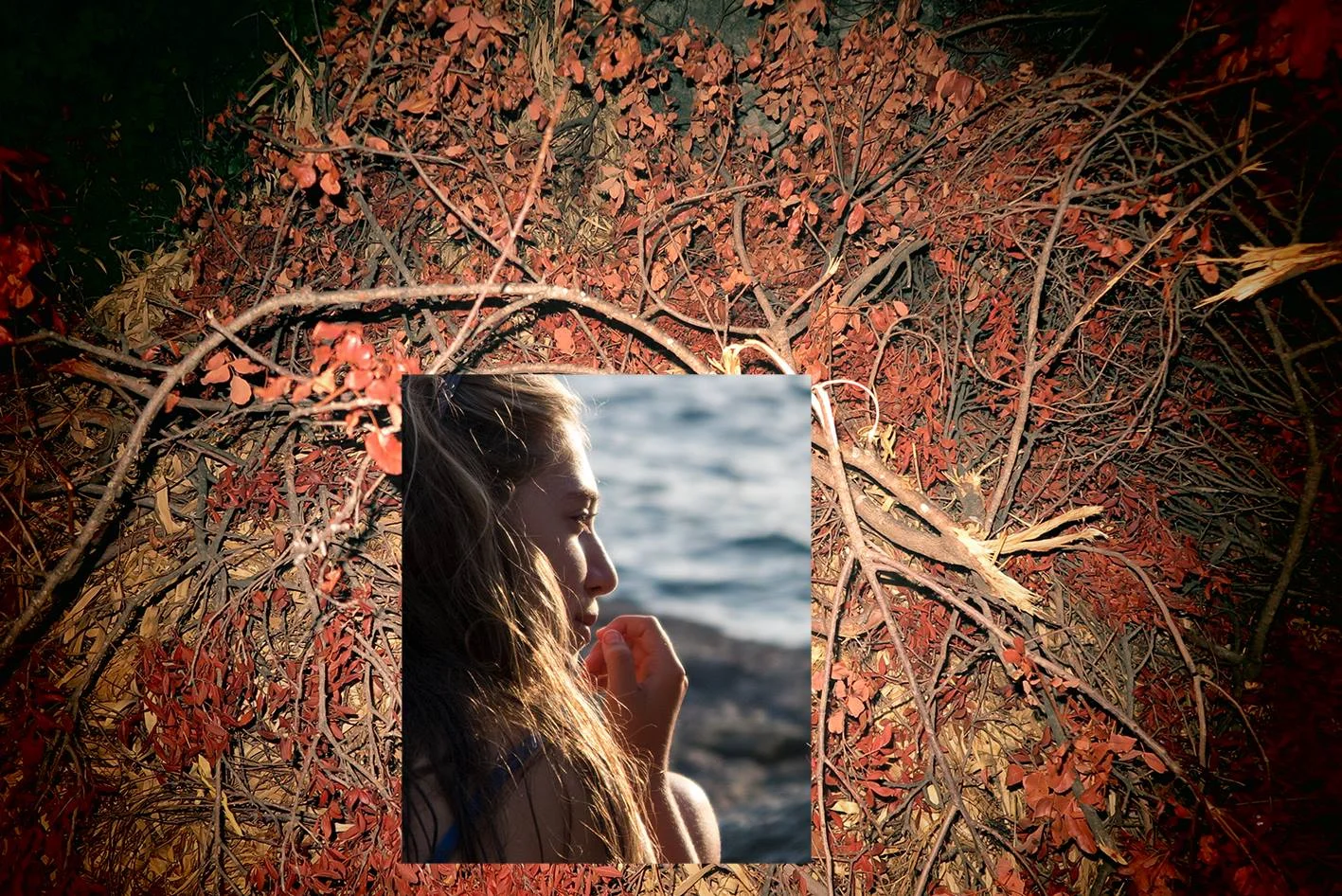 A Nest on the Waves 12