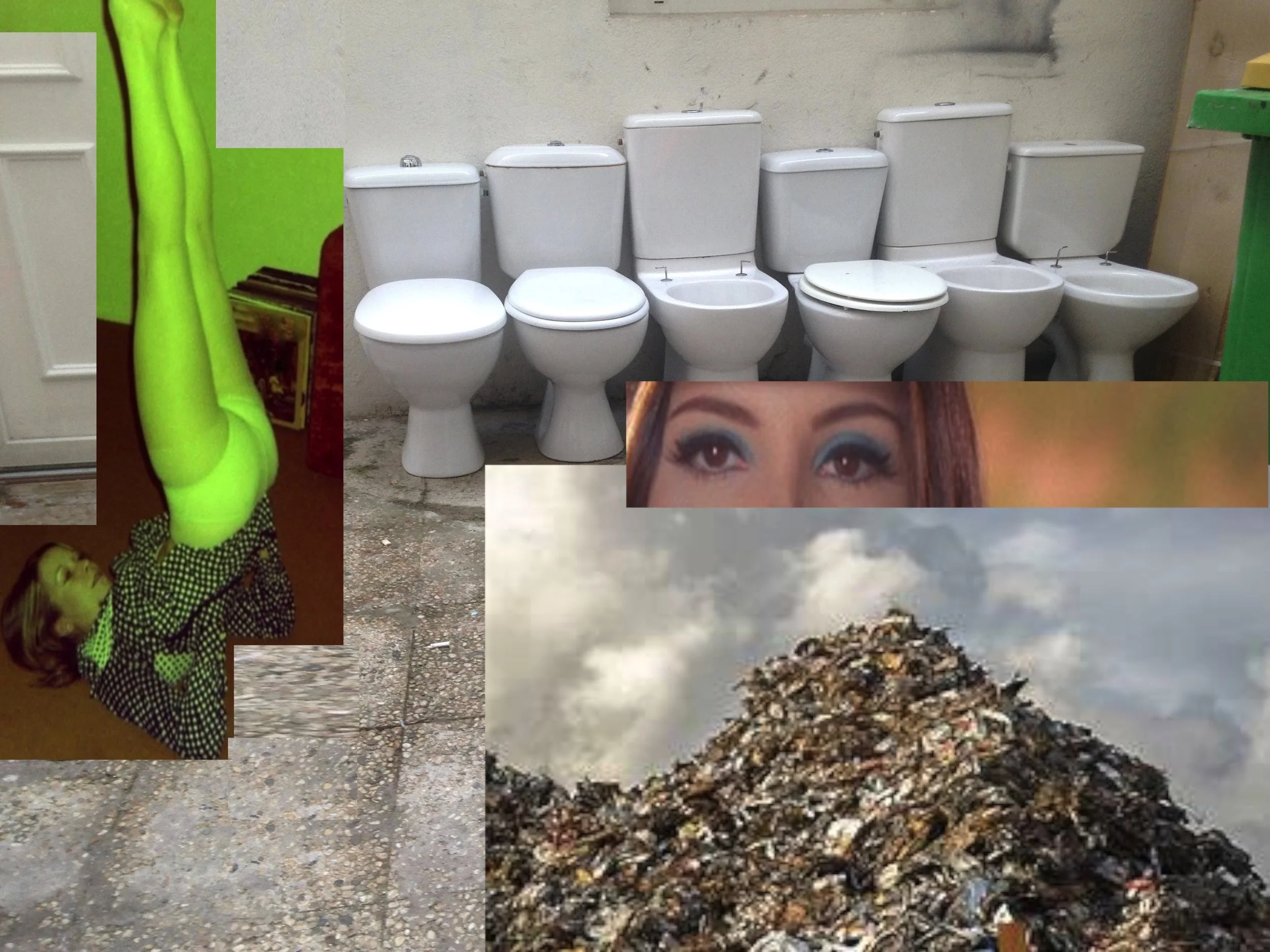 toilet garbage.jpg