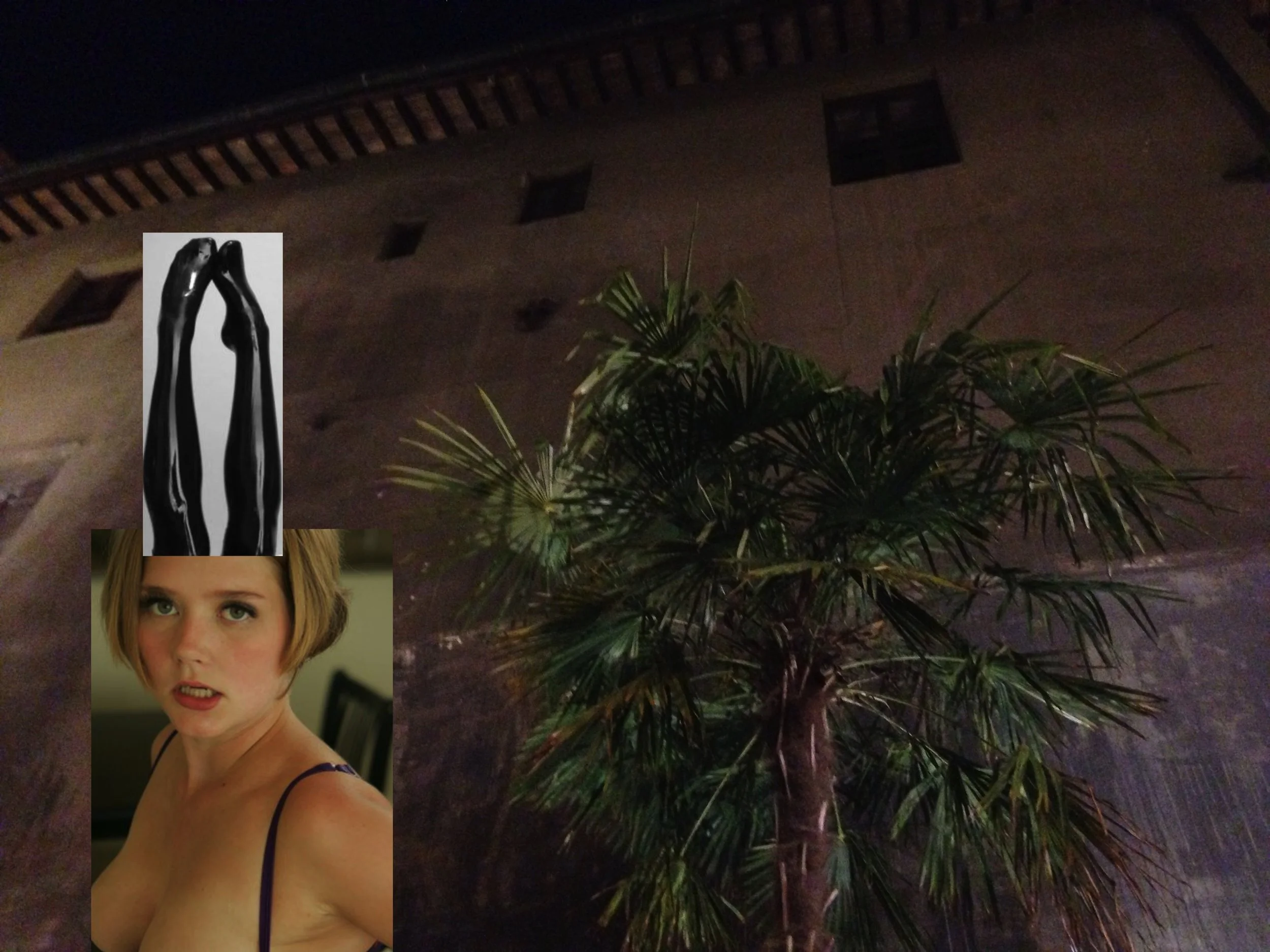 night palm.jpg