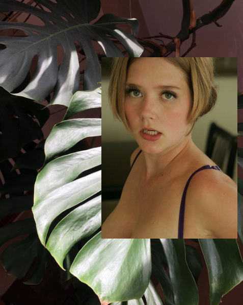 The Little Flower Girl