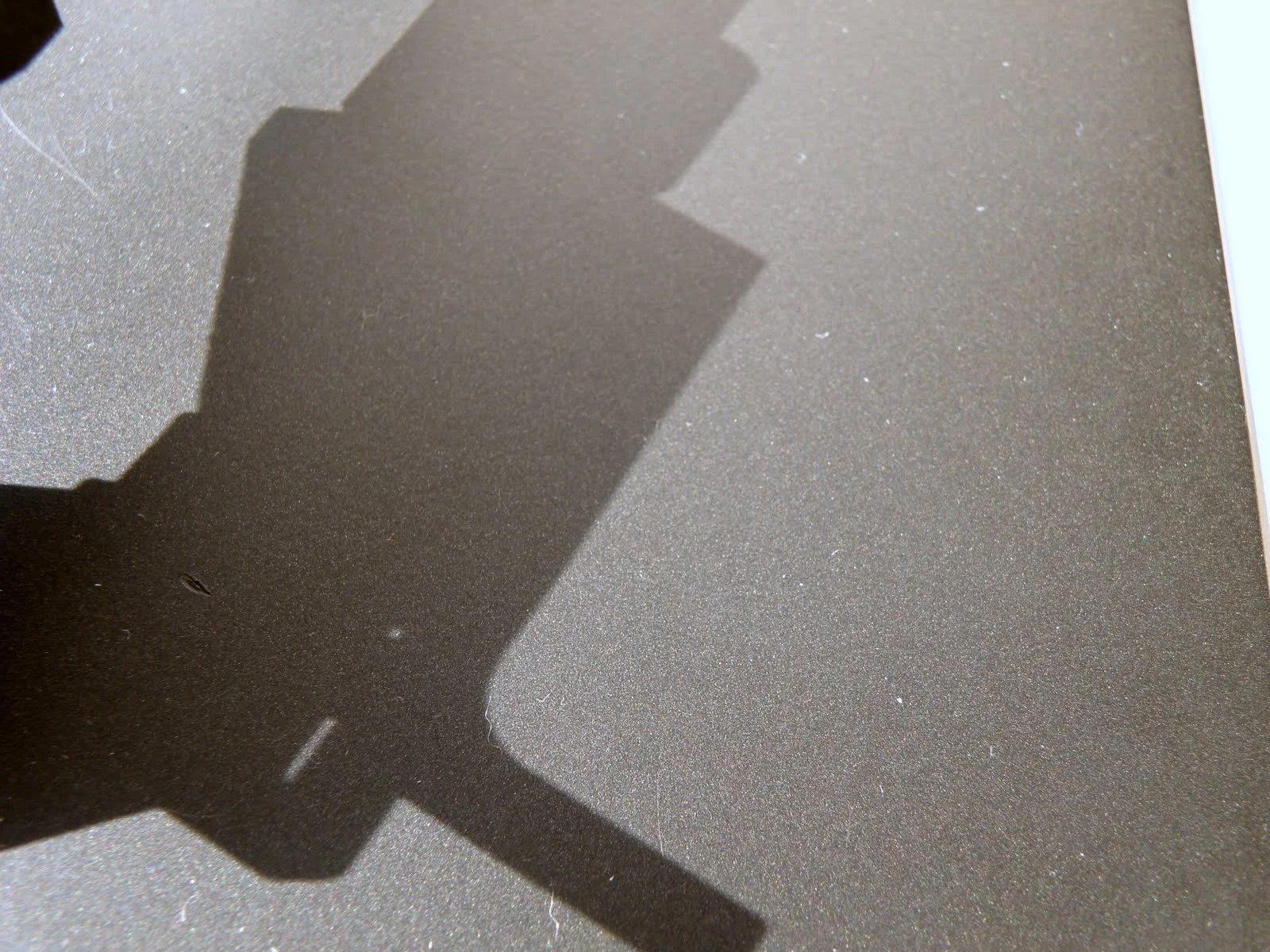 Cronache luminose # 6 In natura il disegno 