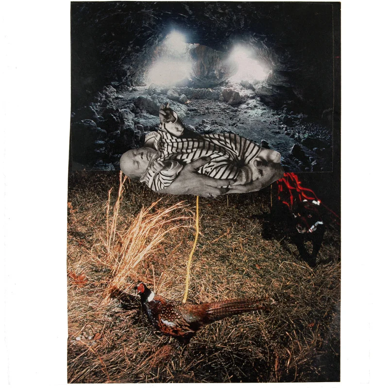 baby:pheasant.jpg