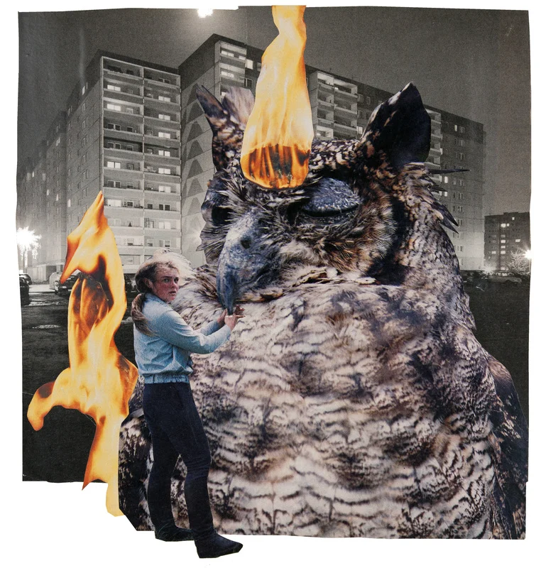 burning owl.jpg