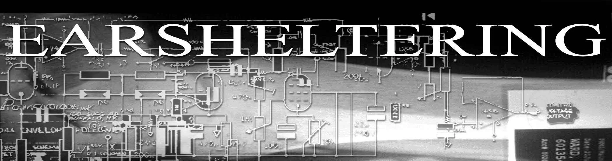 __earsheltering_fly1LOGO.jpg