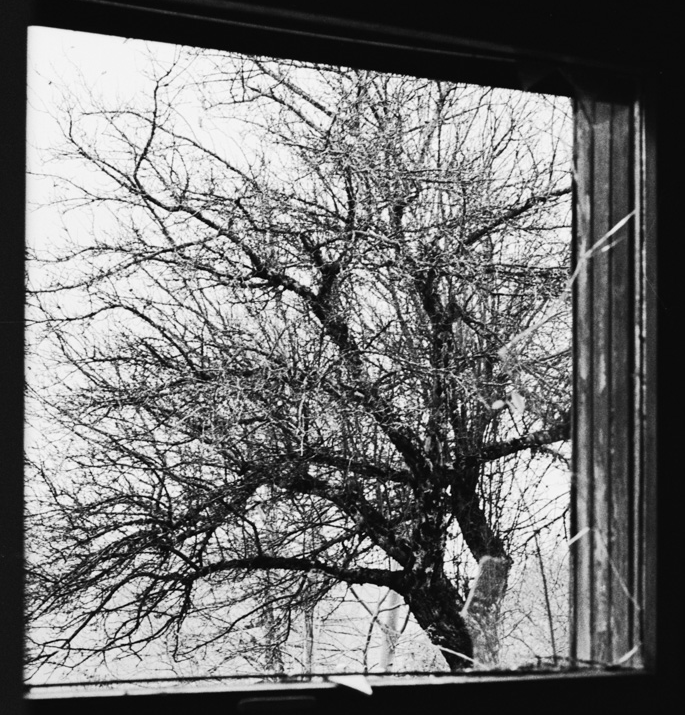 Guest Artist: Zone Limitrofe