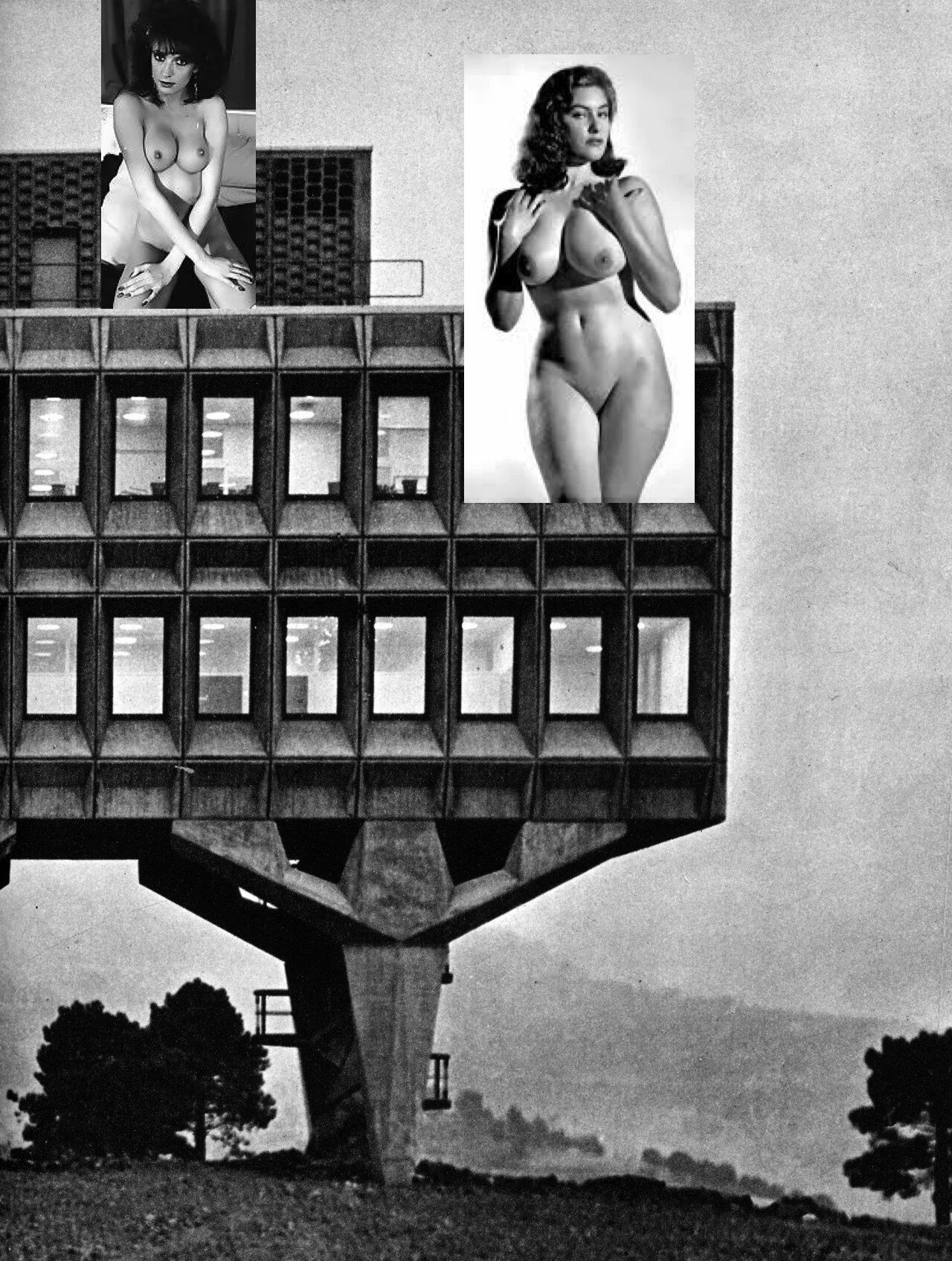 The Brutal-est Hotel 