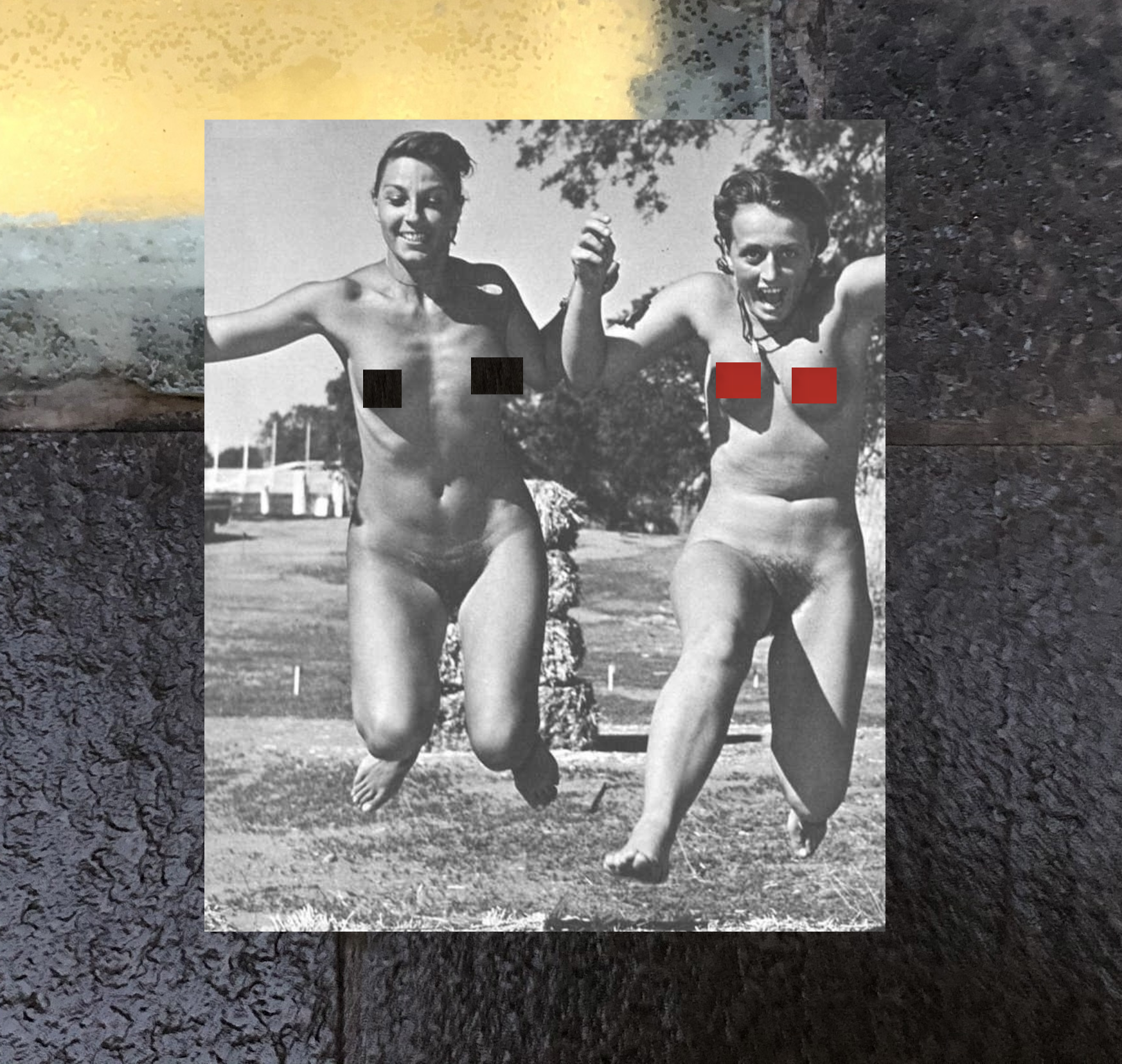 The Back-To-Nature Ranch