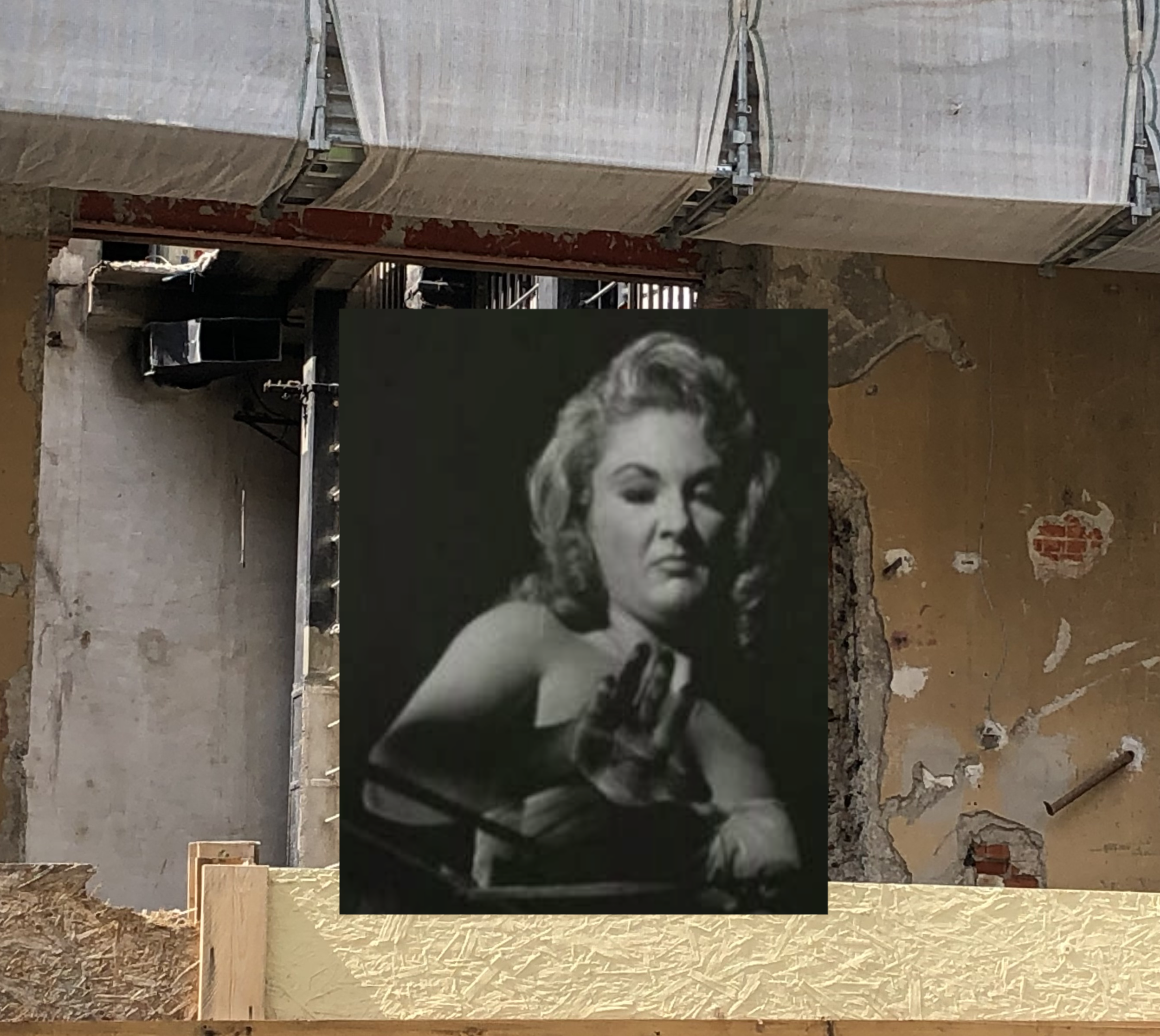 Big Mary Comes To Hotel Kranepool