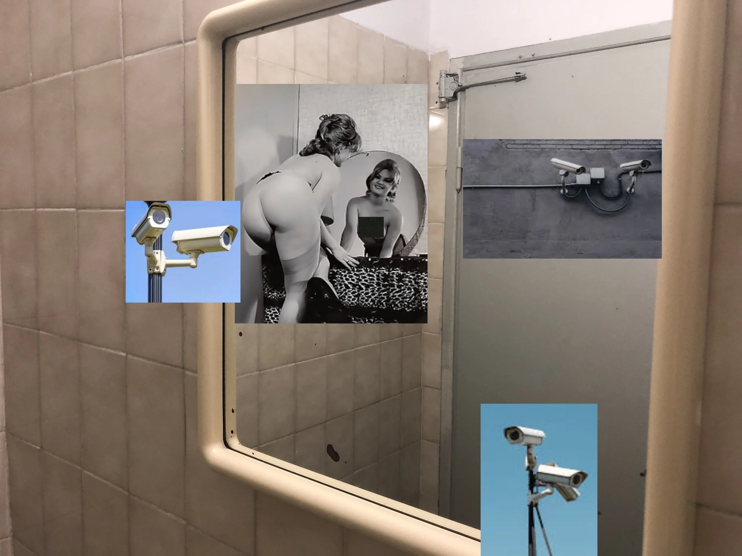 Security Cam Insanity