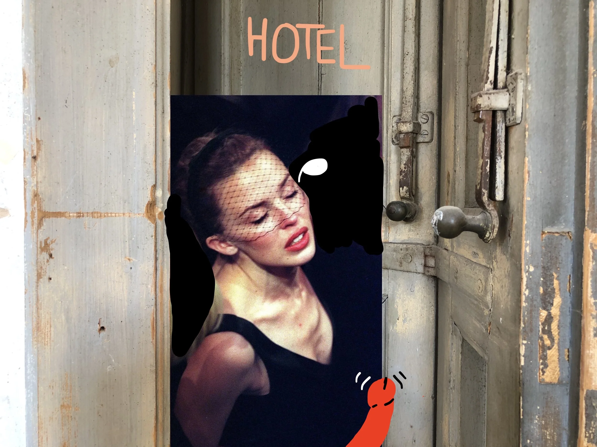 A H*təl for Trəns Wid*ws