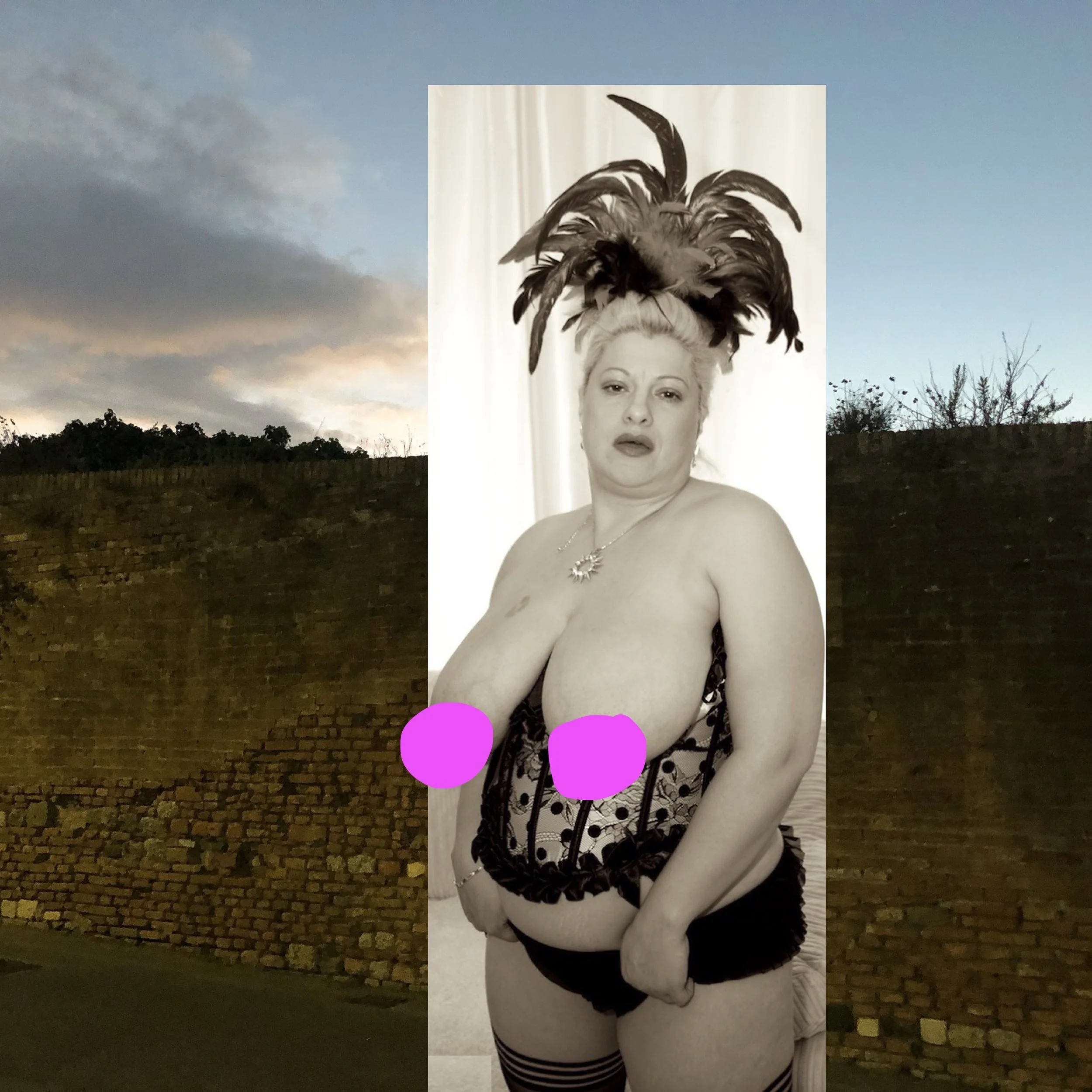 A Big City Hotel Girl