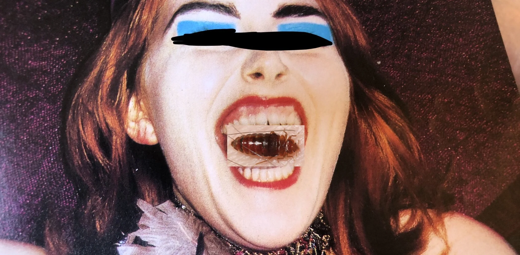 The Night of the Bedbug 