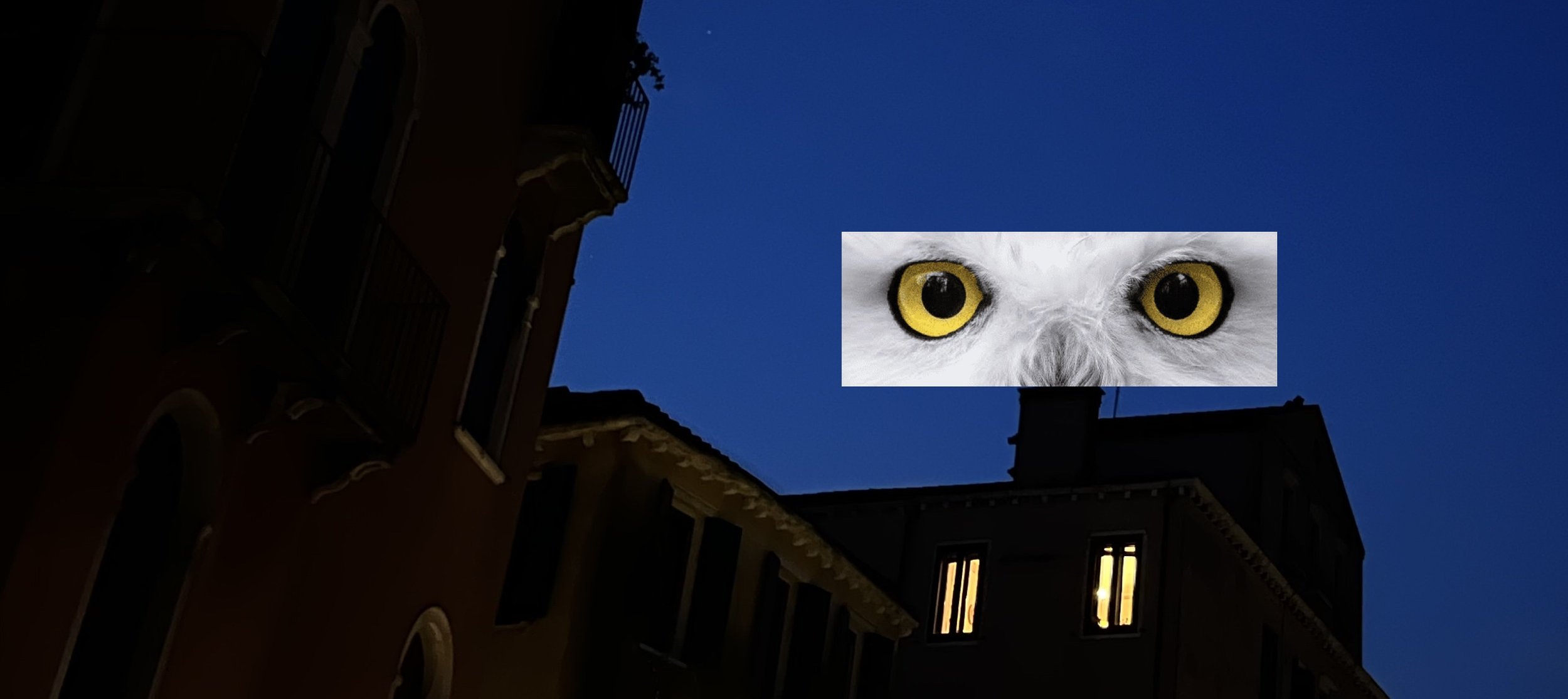 Peter Boyle and Jim Dine Live at the Mars Hotel