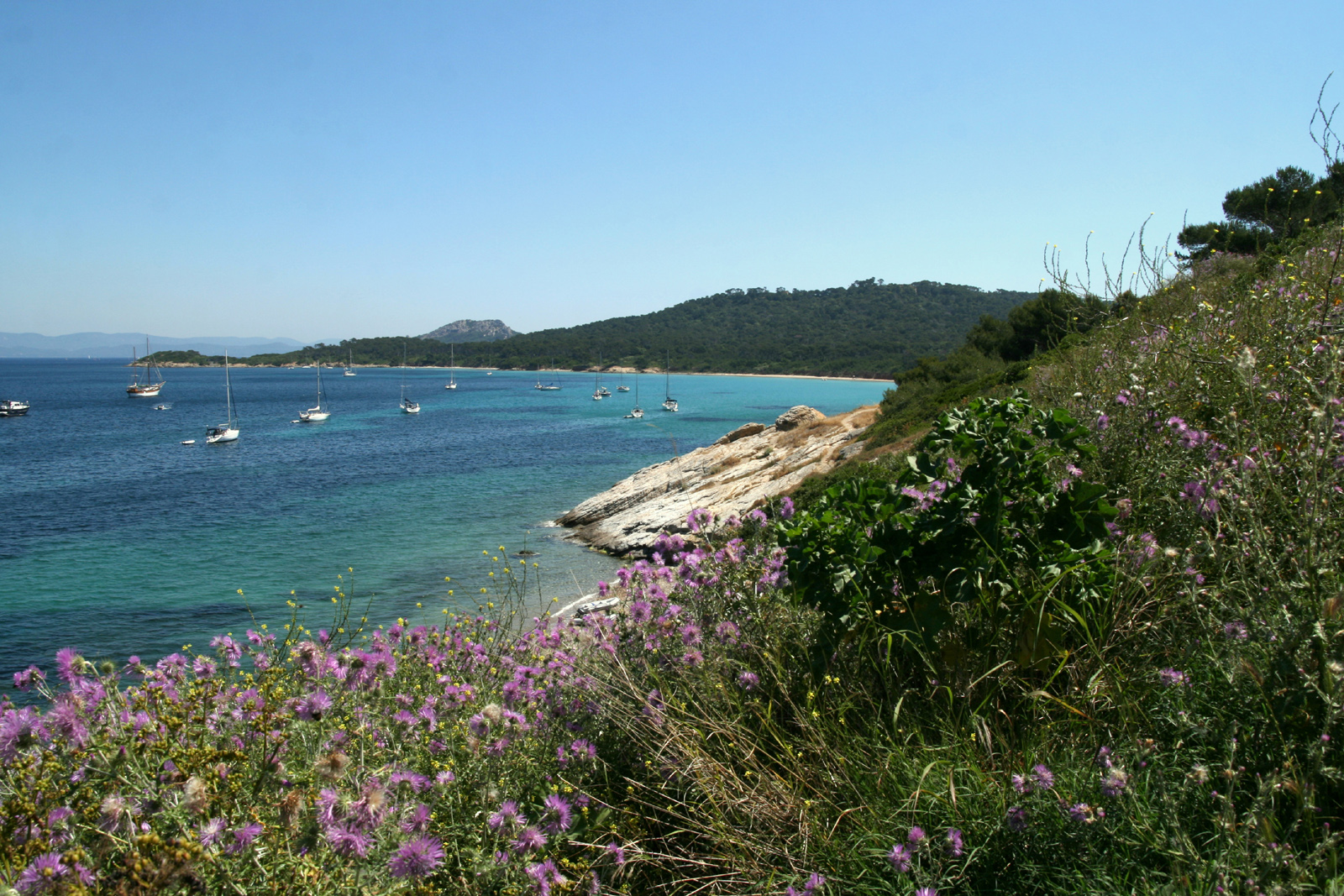 Turquoise waters of the Porquerolles | EAT.PRAY.MOVE Yoga Retreats | Provence, France