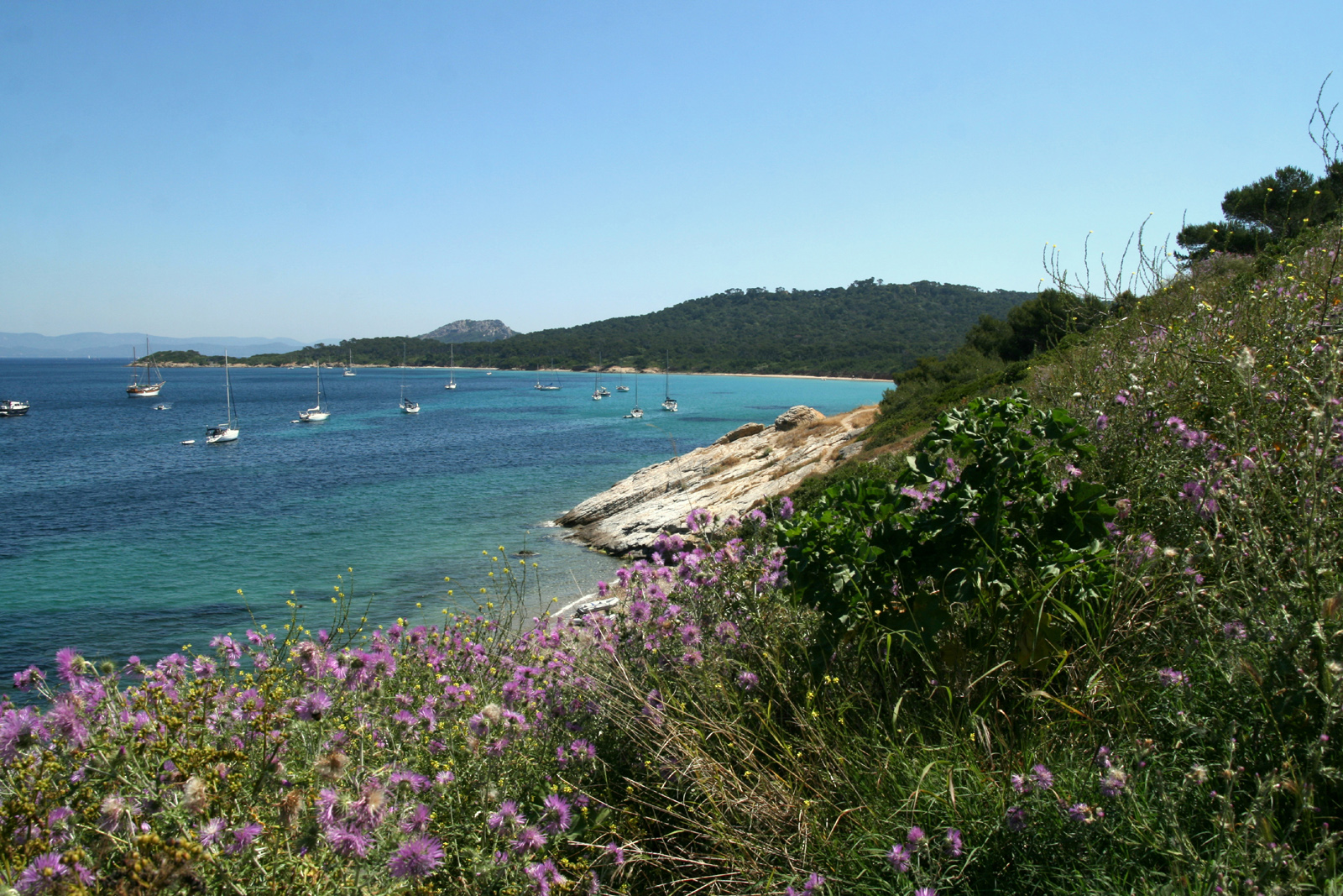 Turquoise waters of the Porquerolles EAT.PRAY.MOVE Yoga Retreats | Provence, France