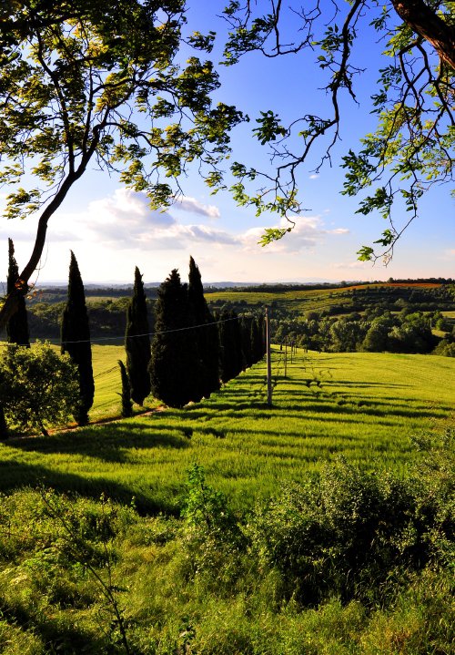 The view from Siliano Alto | EAT.PRAY.MOVE Yoga Retreats | Tuscany, Italy