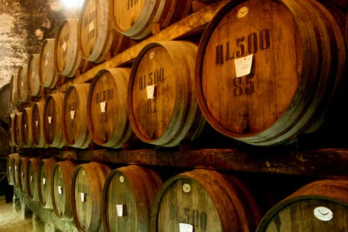 Wine casks EAT.PRAY.MOVE Yoga Retreats | Tuscany, Italy