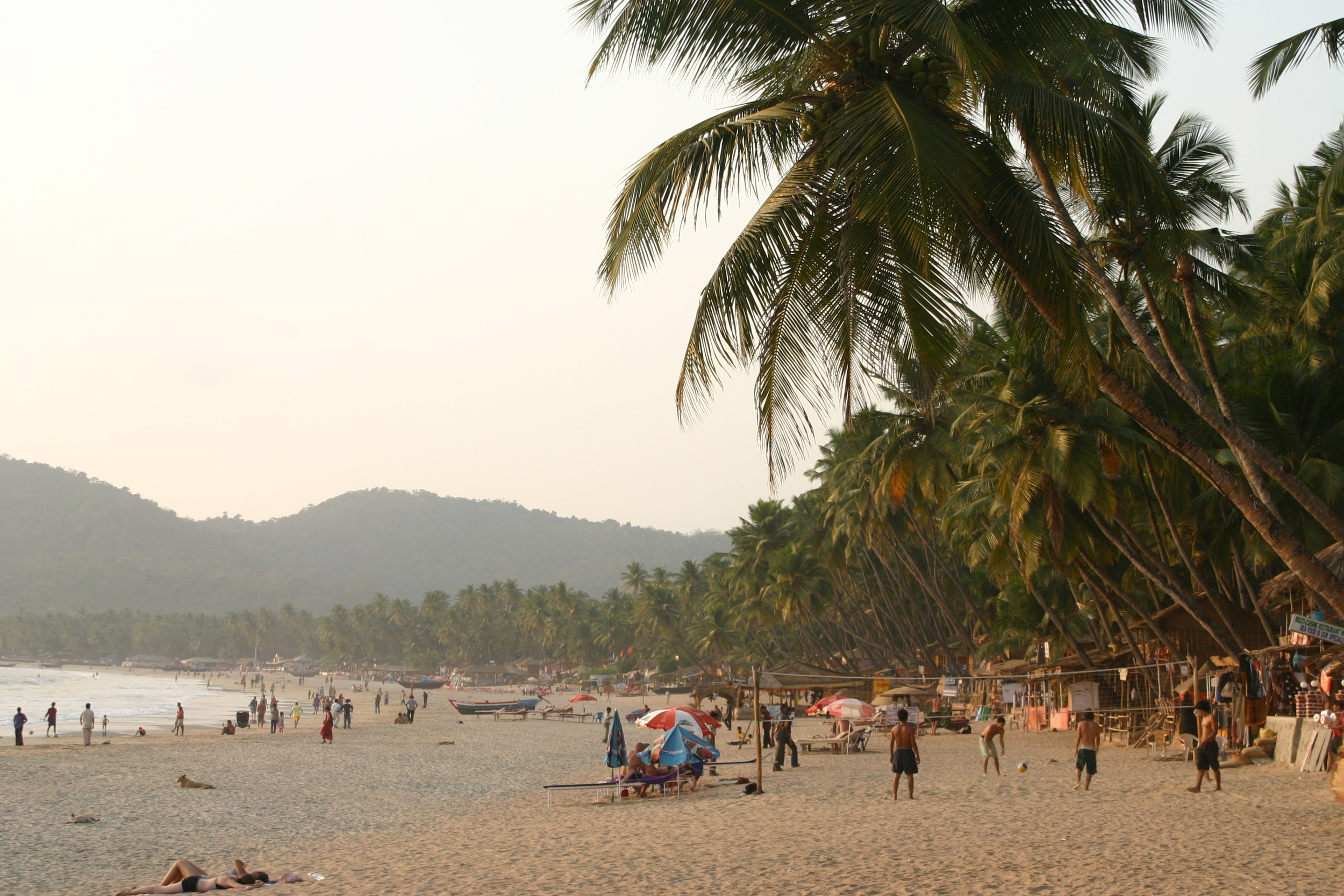 Palm trees hang over the beaches | EAT.PRAY.MOVE Retreats | Goa, India