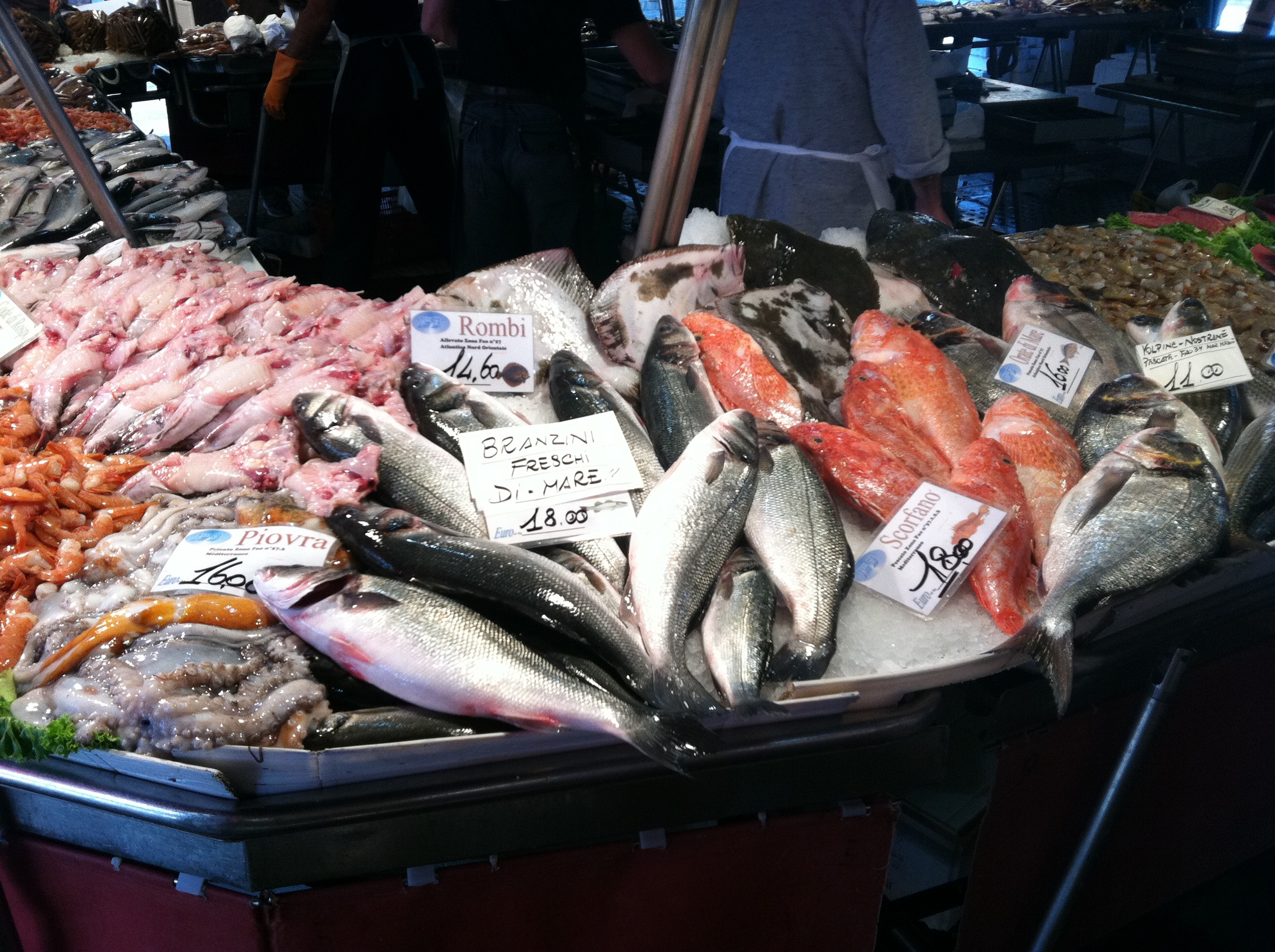 Fresh seafood from the water | EAT.PRAY.MOVE Yoga | Venice, Italy