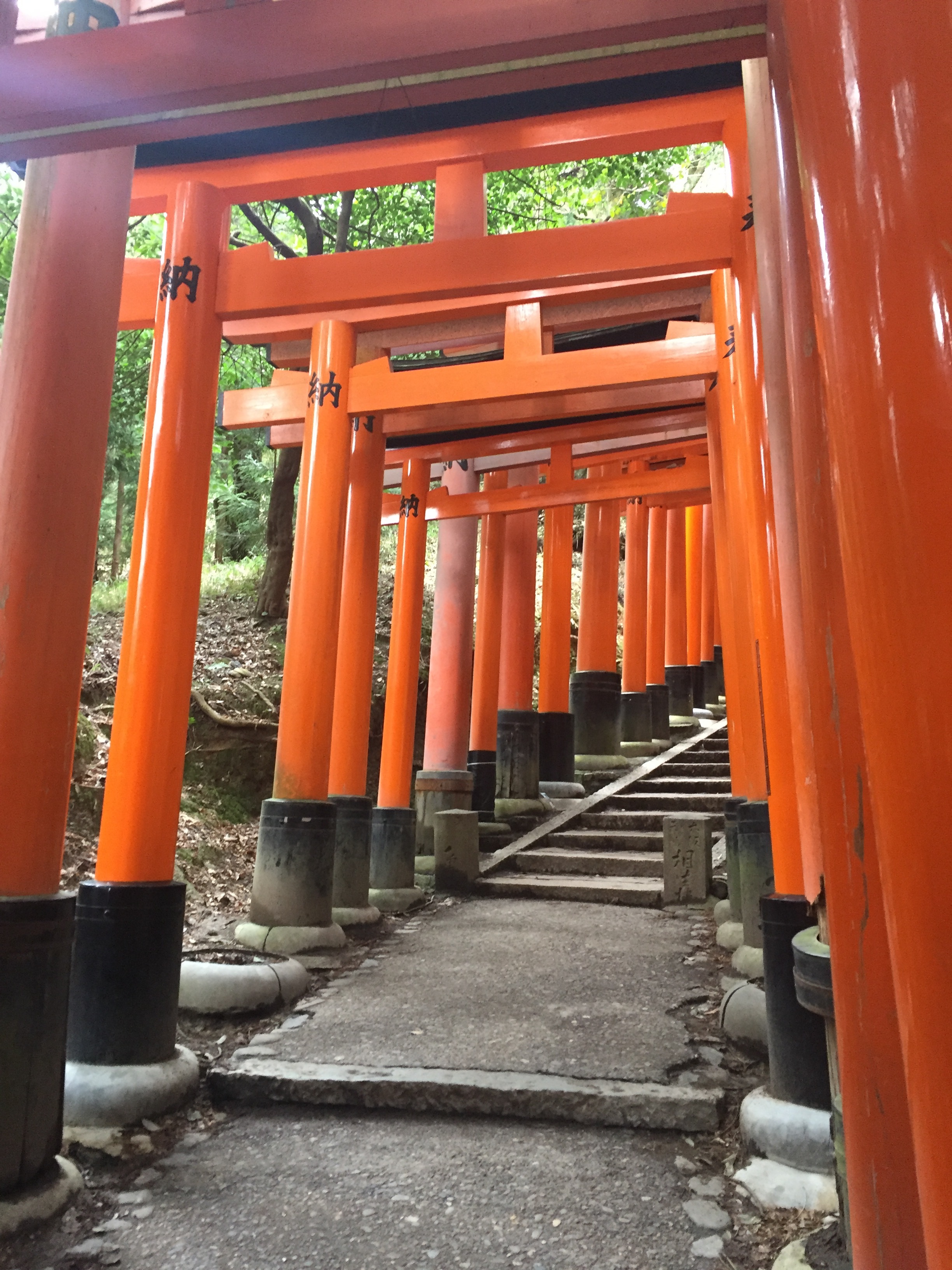 The Torii Gates | EAT.PRAY.MOVE Yoga | Kyoto, Japan